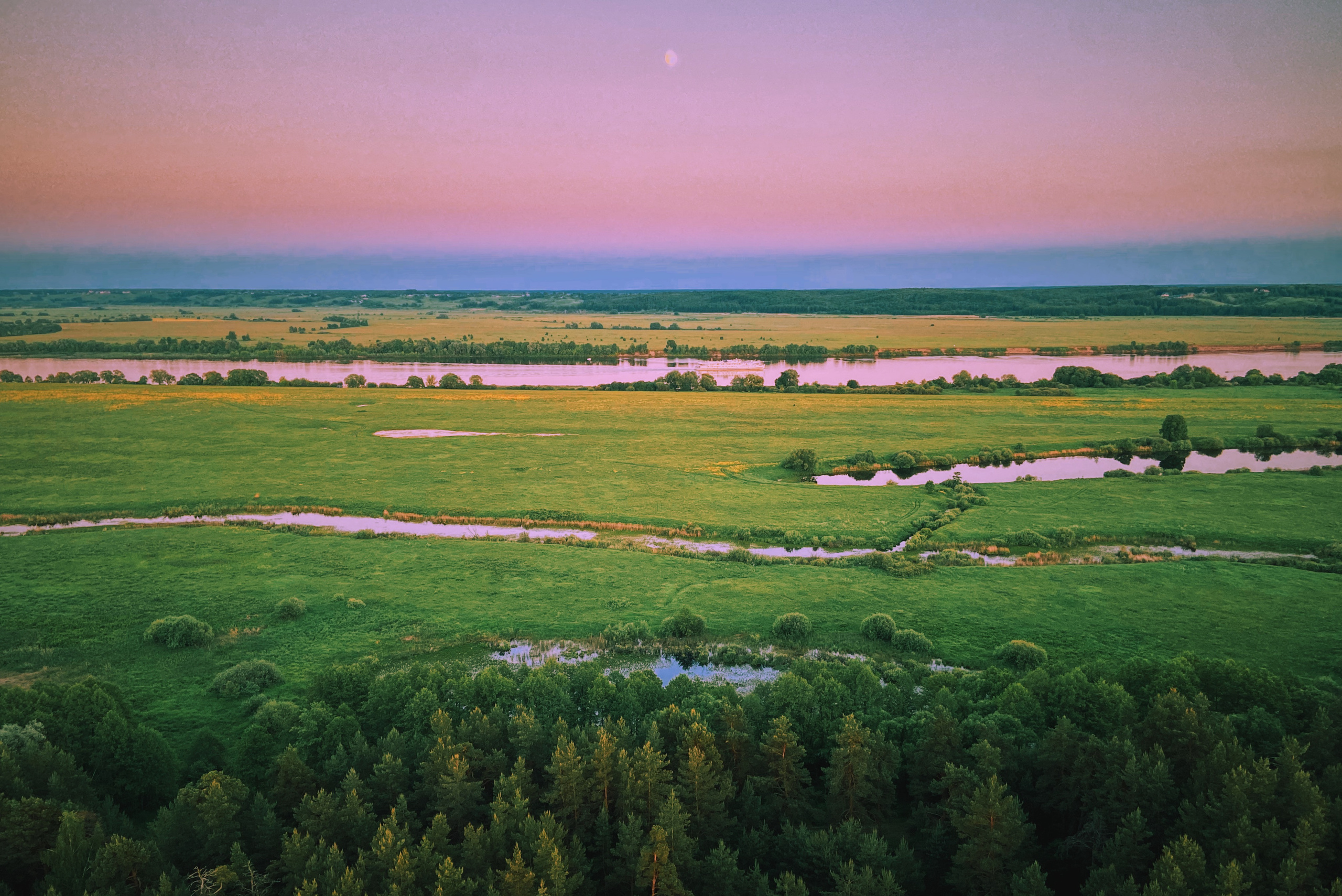 Московская область, закат над деревьями и лесом