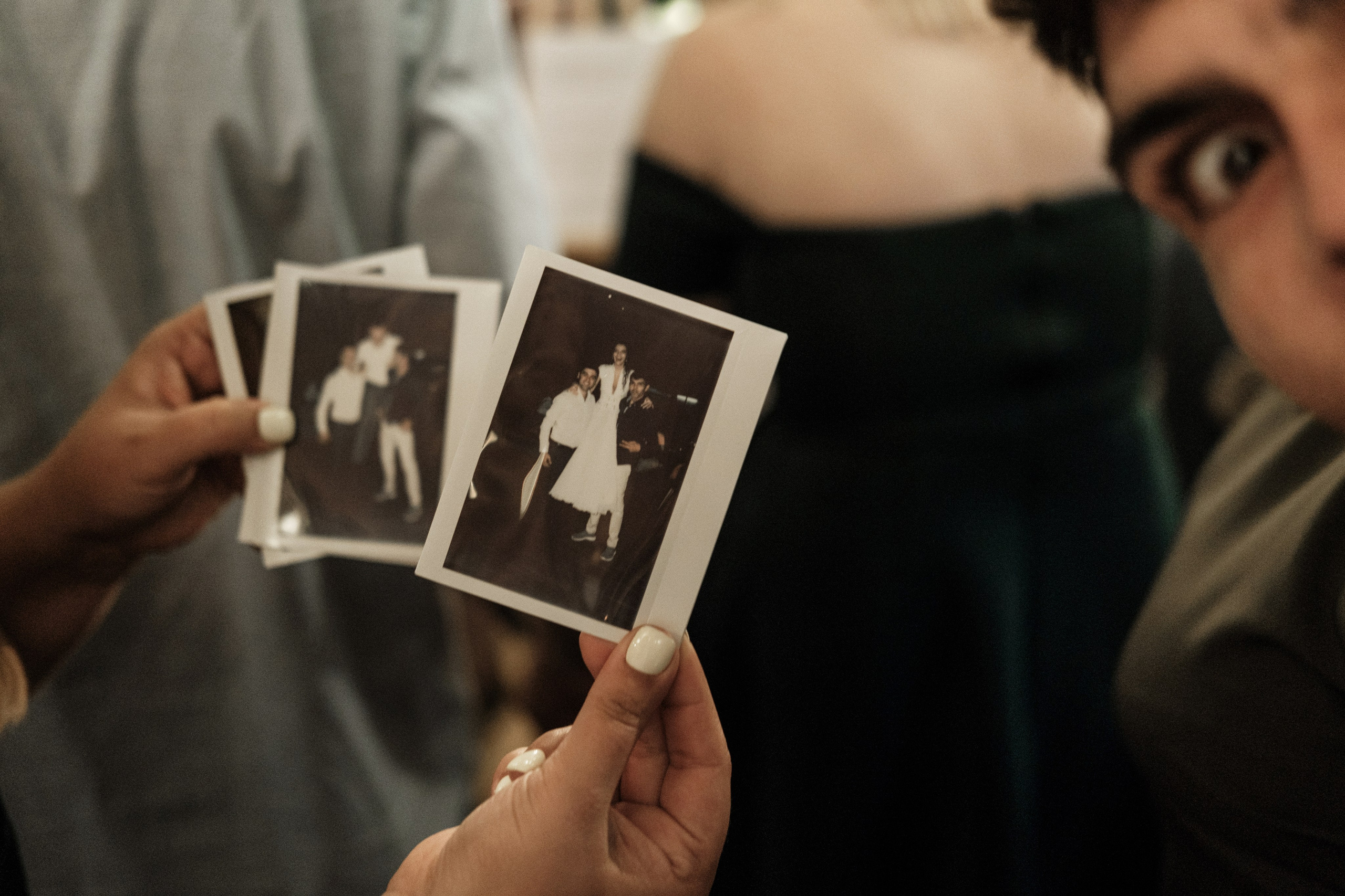 Кот и Дракон. Свадебный Видеограф Фотограф в Сочи