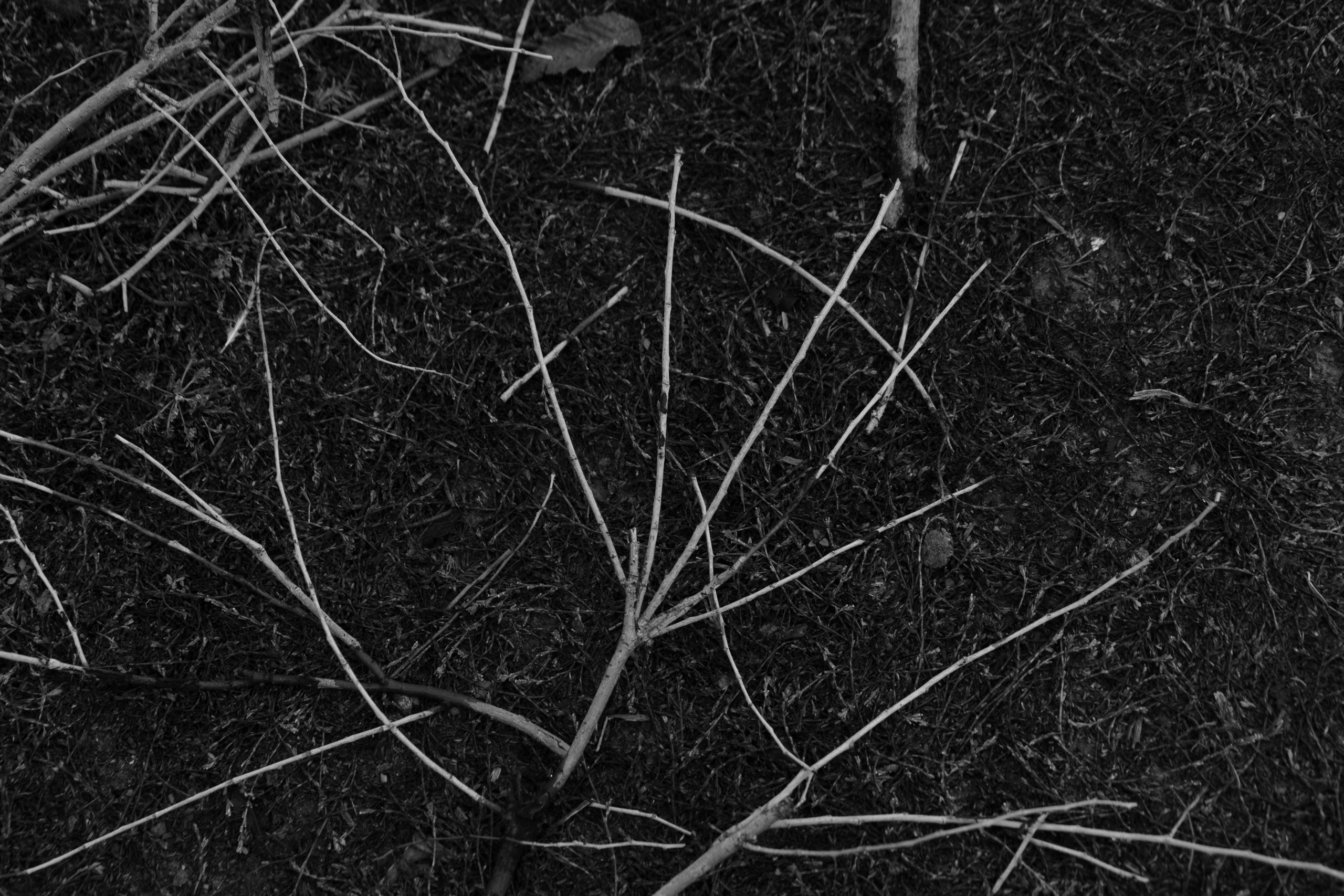 Бекстейдж сьемки кино. Профессиональная съемка в Алматы