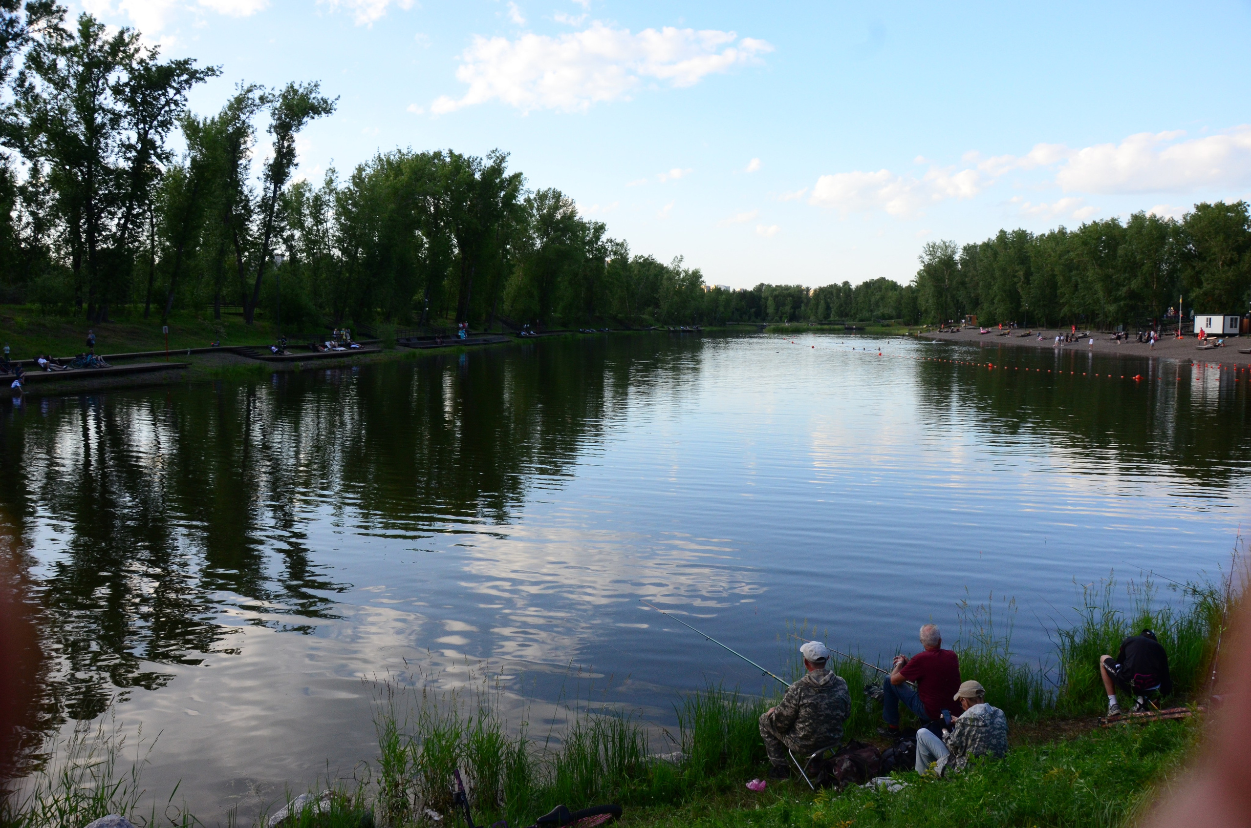 Дары природы. Фотограф viktor viktor