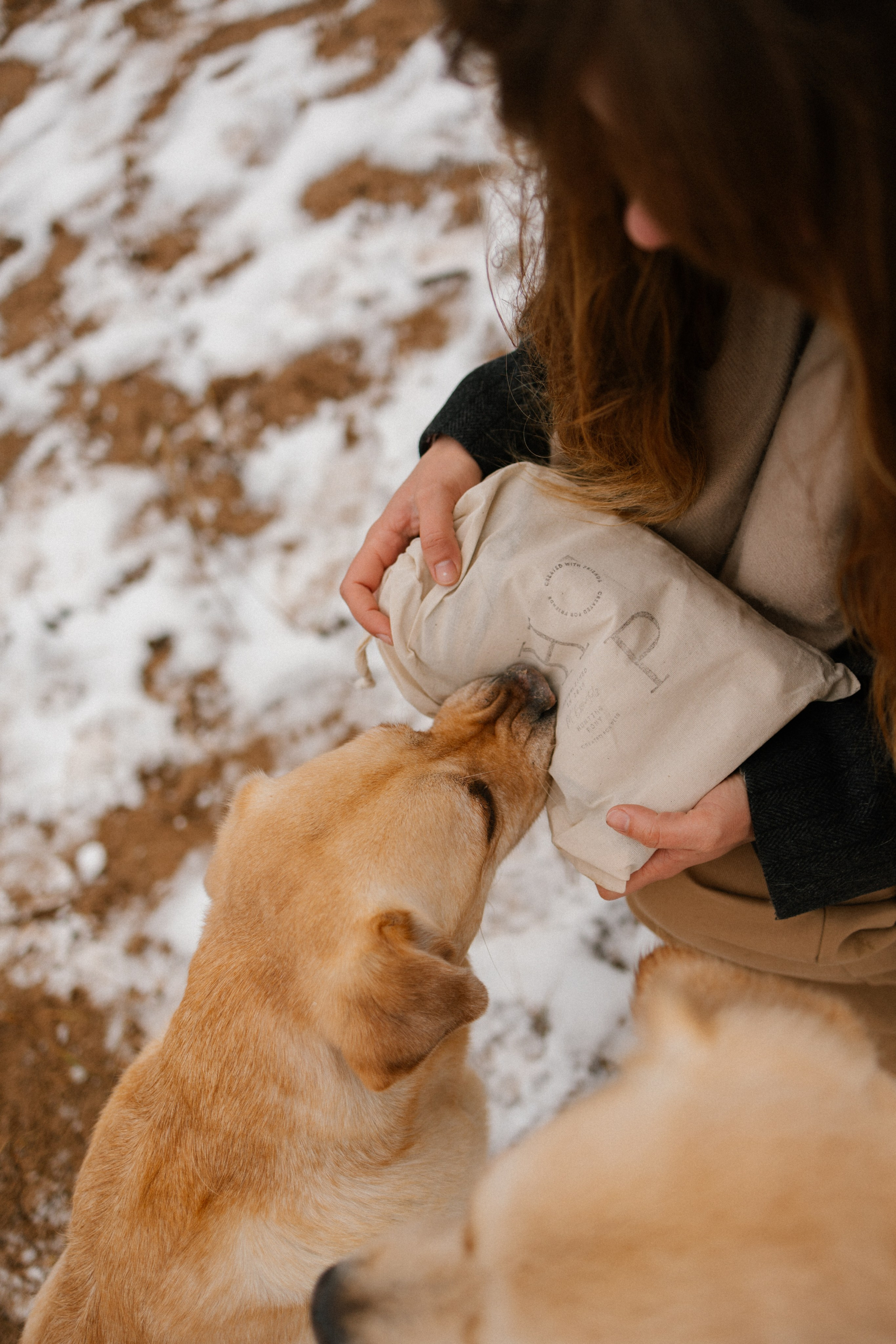 Ирина и Бася. Фотограф — Анималист | Санкт-Петербург