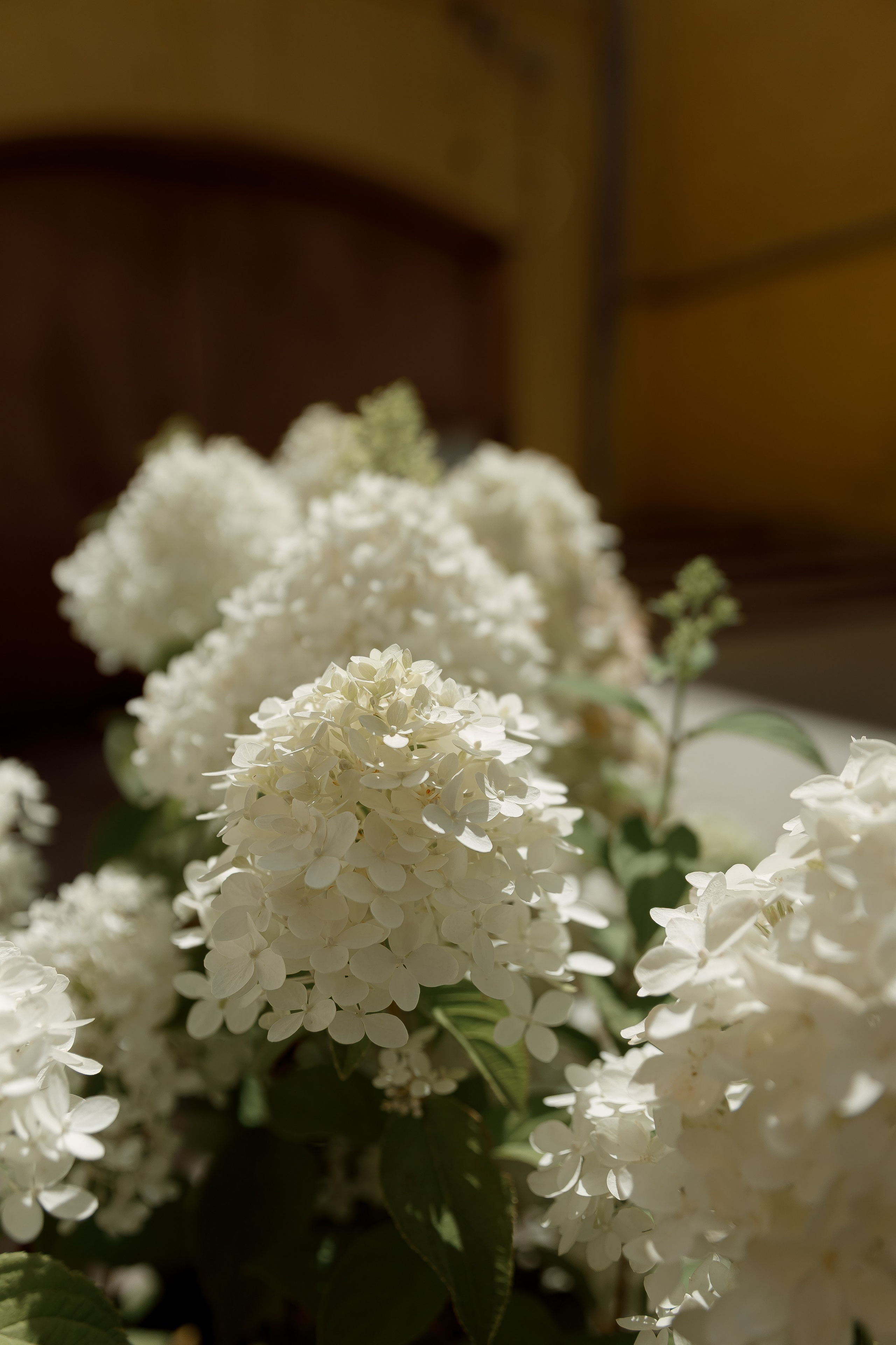 Татьяна & Александр. Фотограф в Самаре Юля Борщ