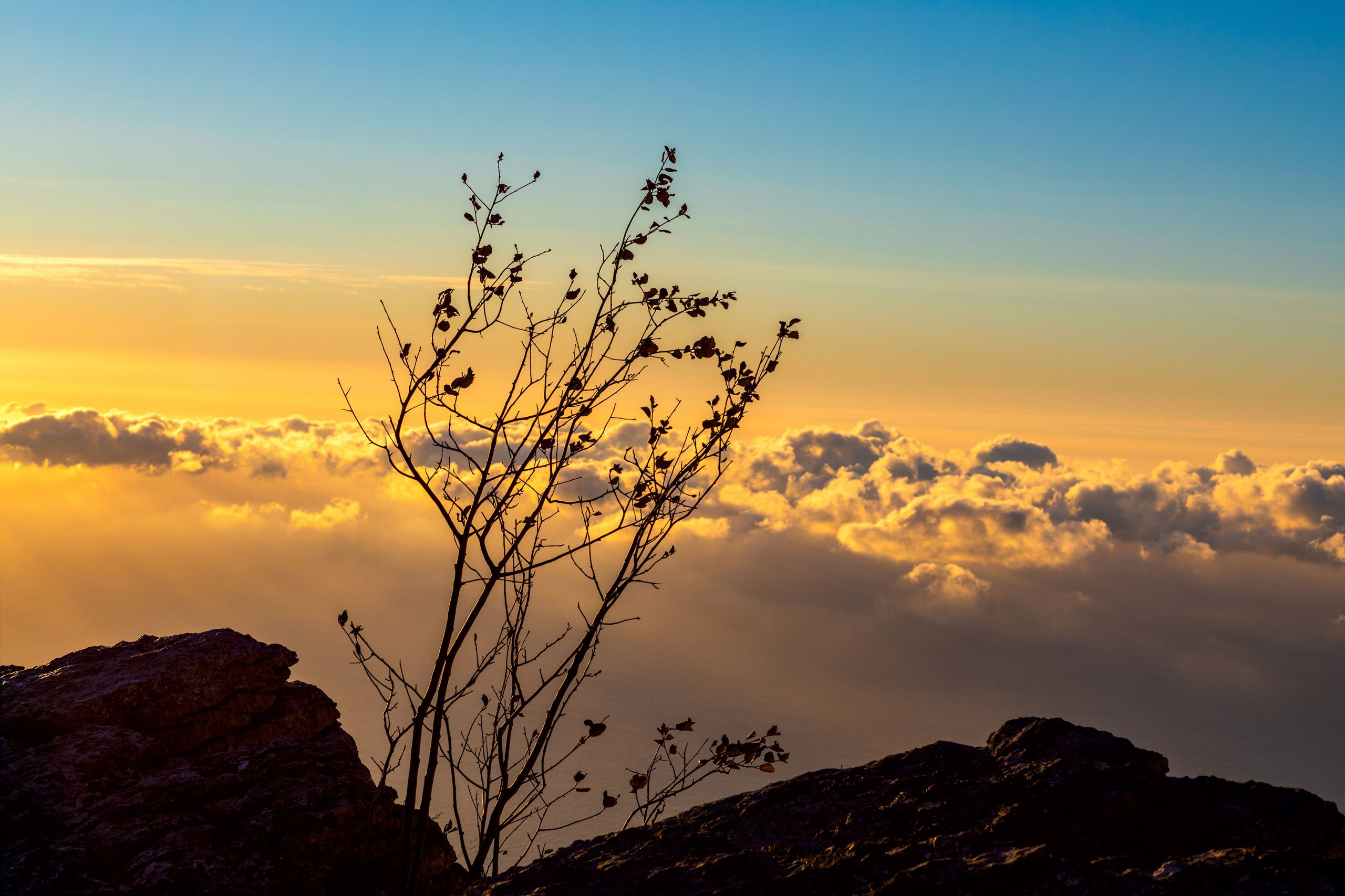 АЙ-ПЕТРИ. Фотограф Севастополь/Крым Светлана Евтушенко