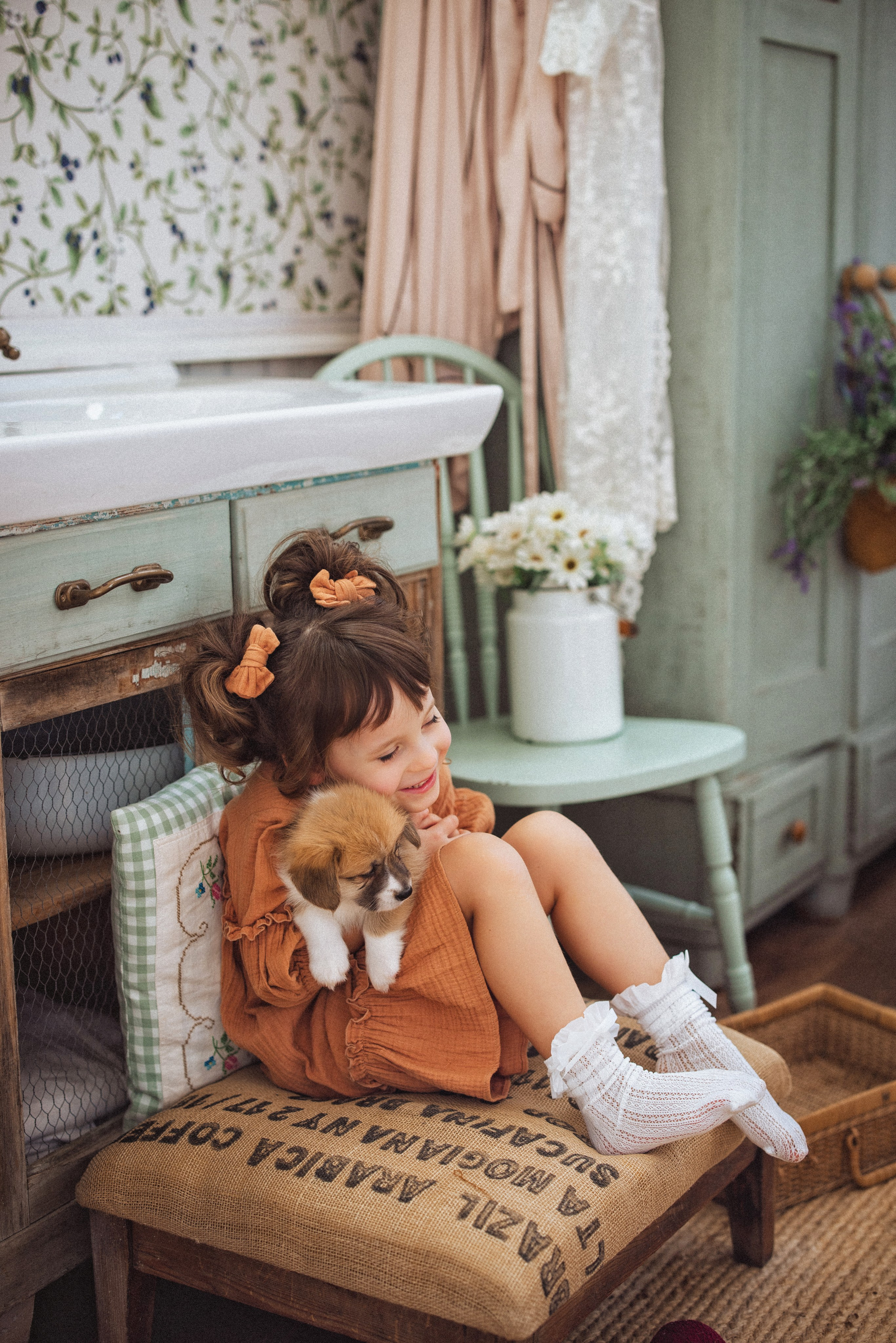 Фотосессия с щенками Корги, в фотостудии Ольги Сурухановой, город Краснодар. Семейный и детский фотограф в Краснодаре Анна Трашкова