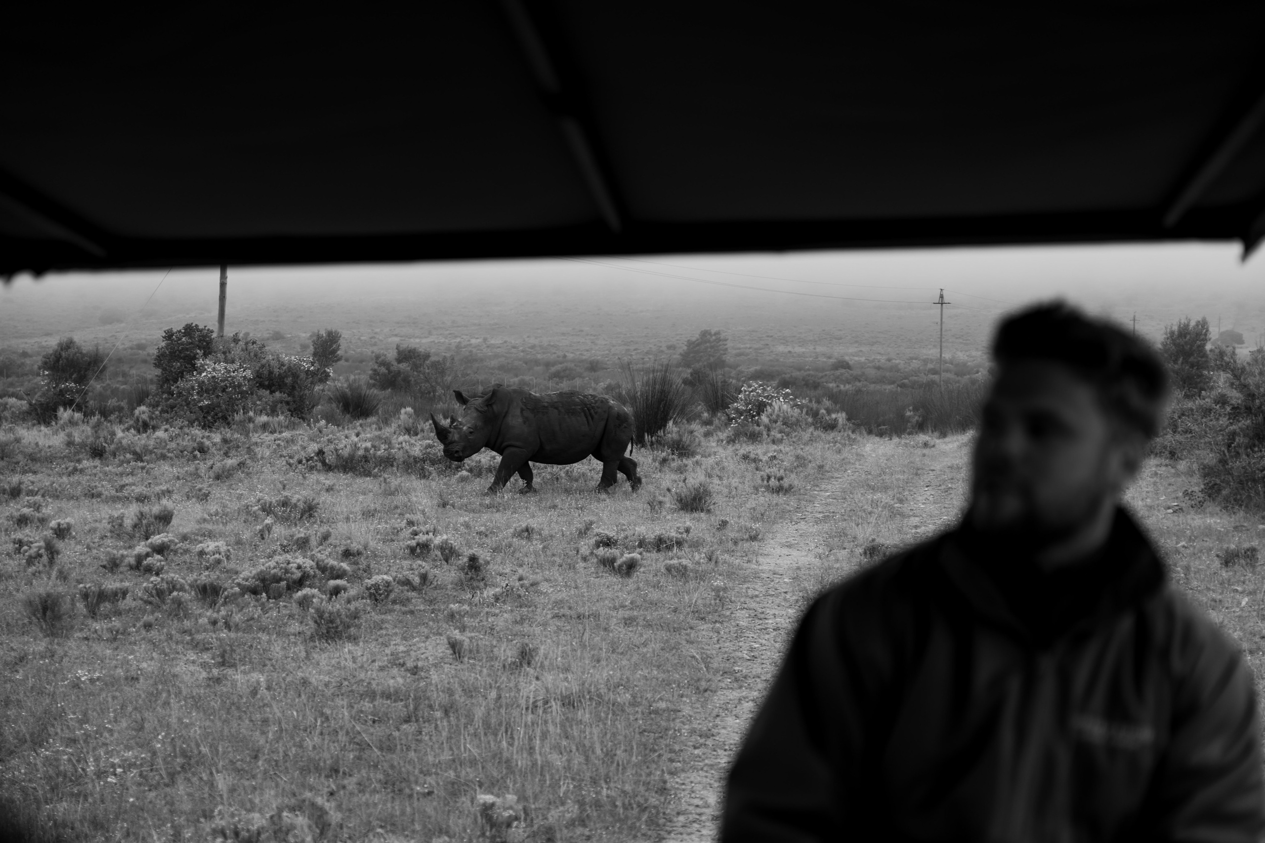 Africa/UAR. @oljiofilm: Олег Иванов — фотограф