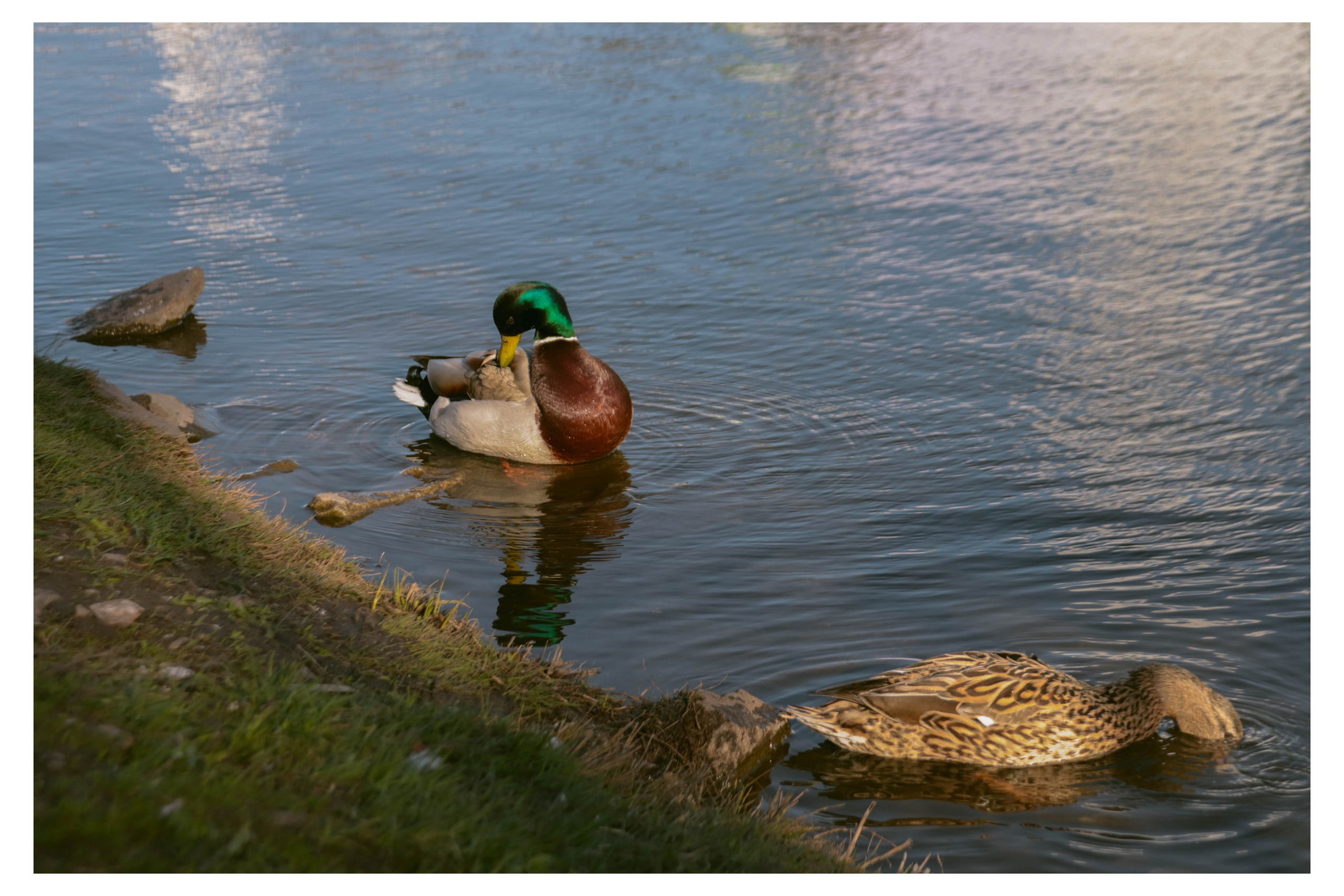 Альметьевск. Фотограф и видеограф в Бугульме Аня Трутнева