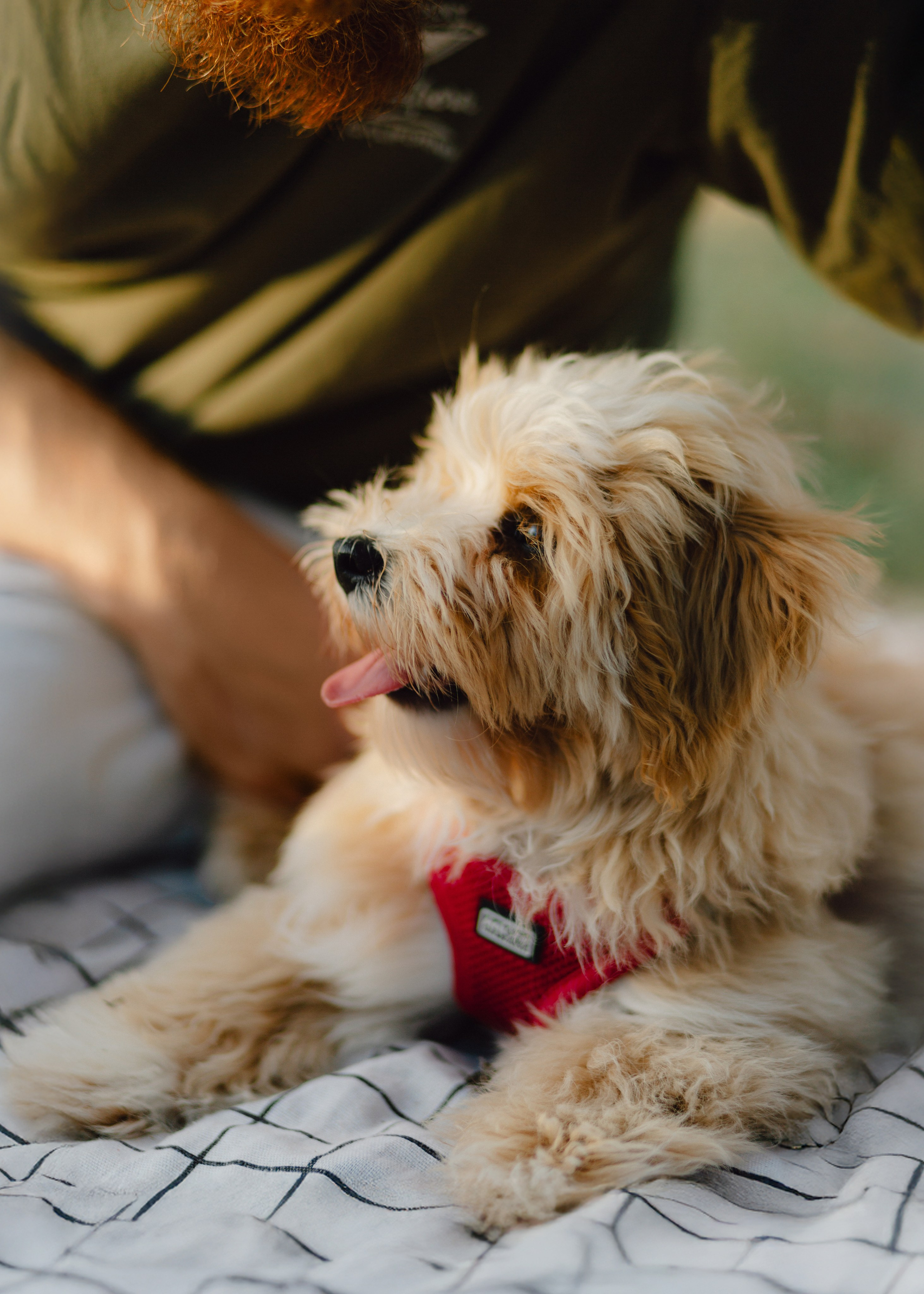 J&J Family. Barbara Isaeva