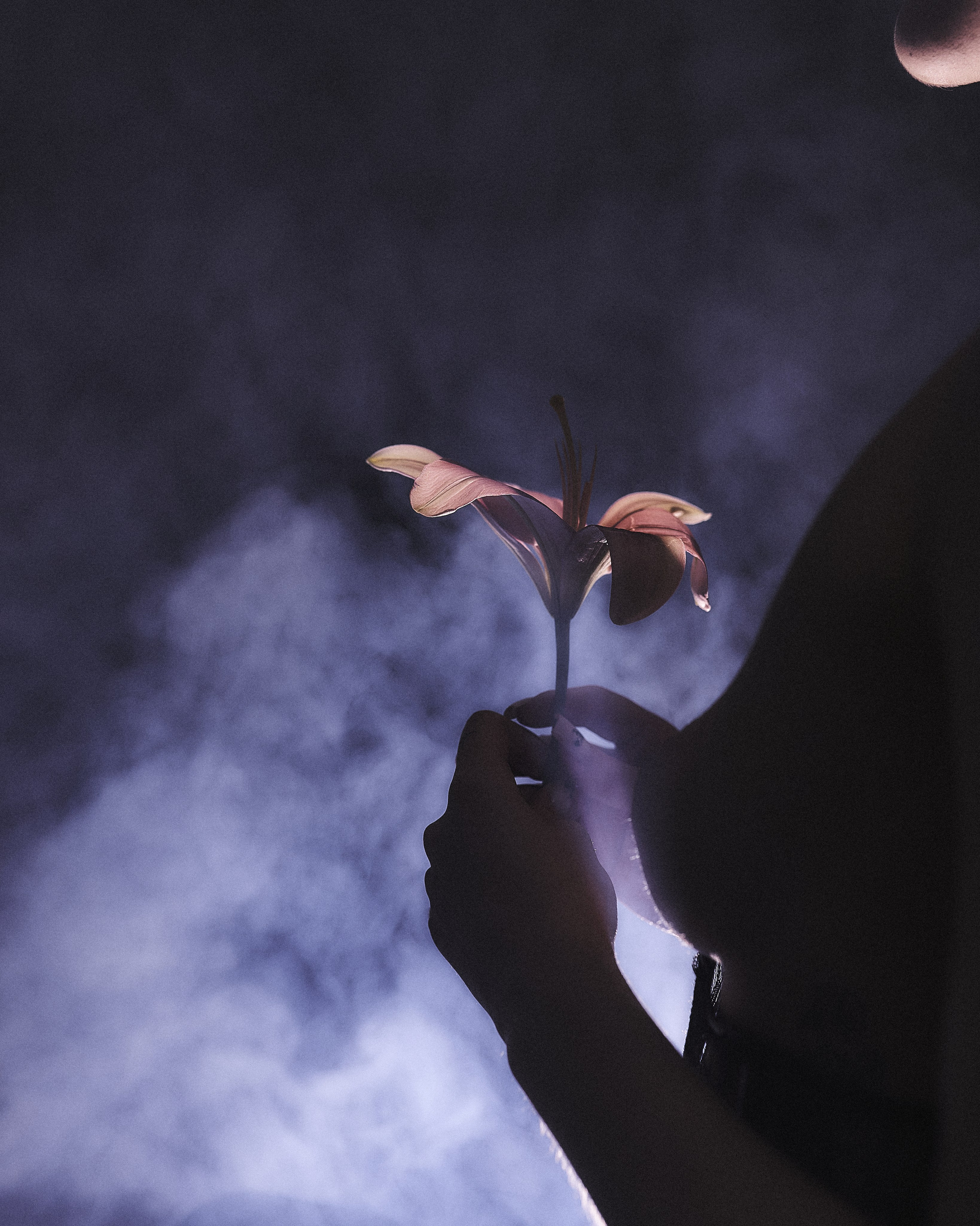 Art. Анастасия Зверева