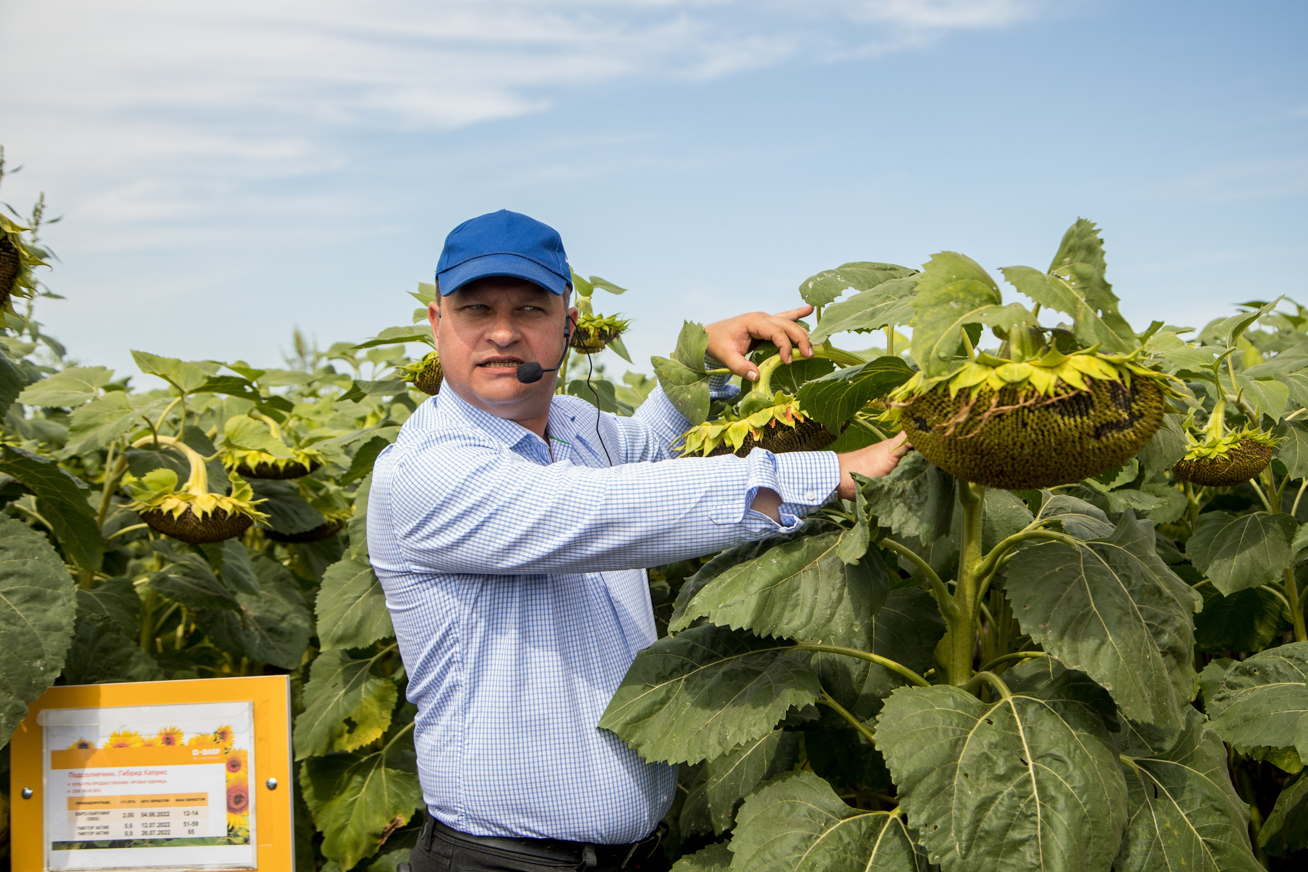 Решения для сельского хозяйства BASF 16.08.2022. Владислав Волков | Фотография и видеосъемка в Воронеже