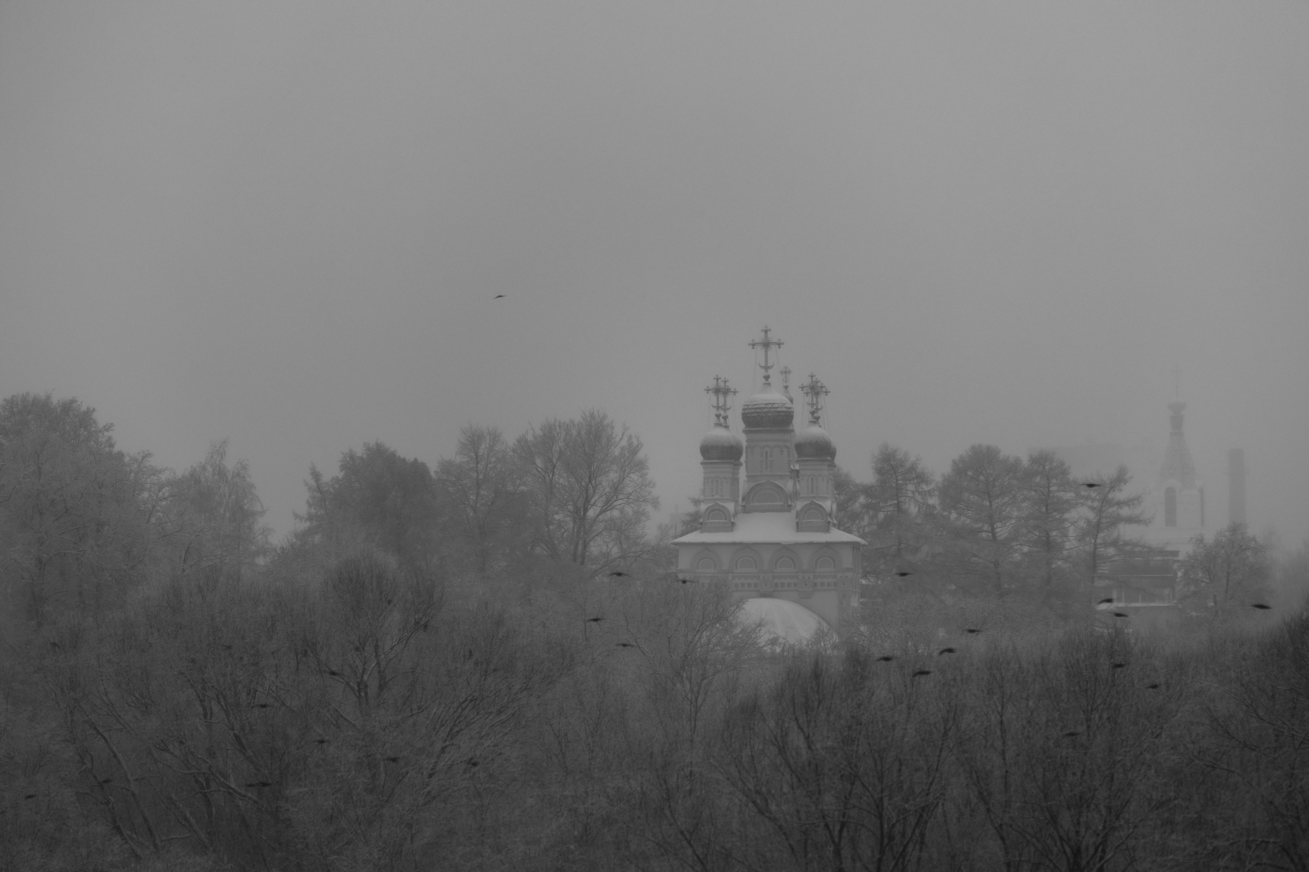 Пейзажи и архитектура. Лена Румянцева — репортажный, детский и семейный фотограф в Москве