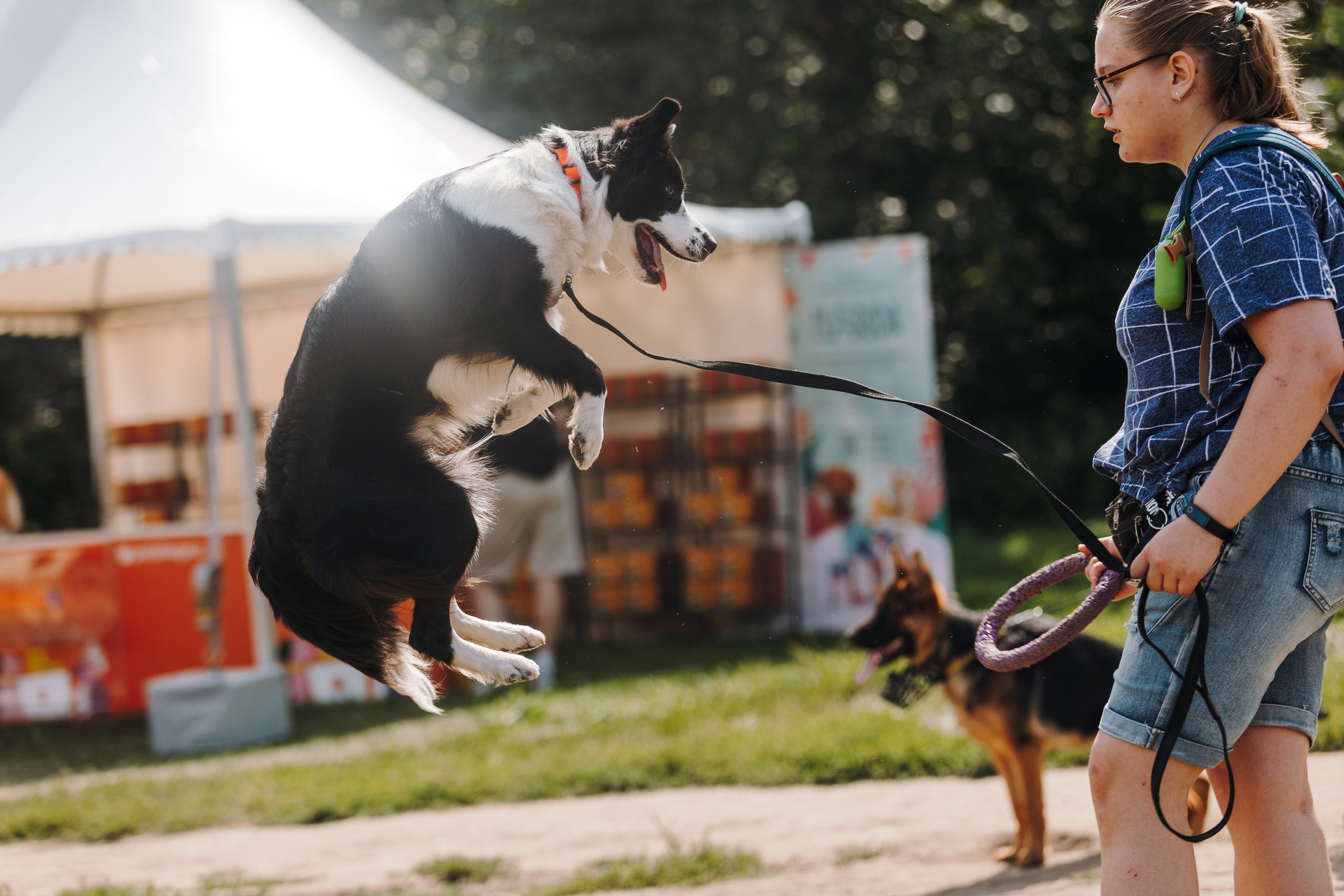 Petshop Sup day. Фотограф анималист Кристина Карпова, Москва