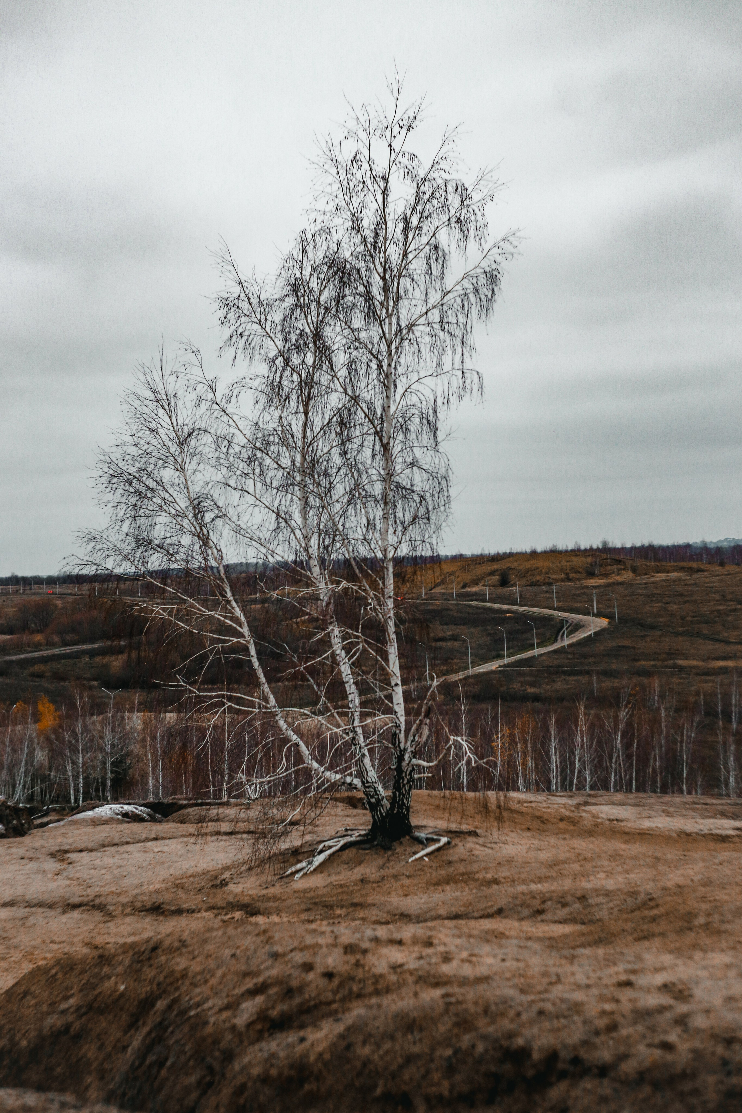 Ноябрь 2022. Efremovaphoto.ru