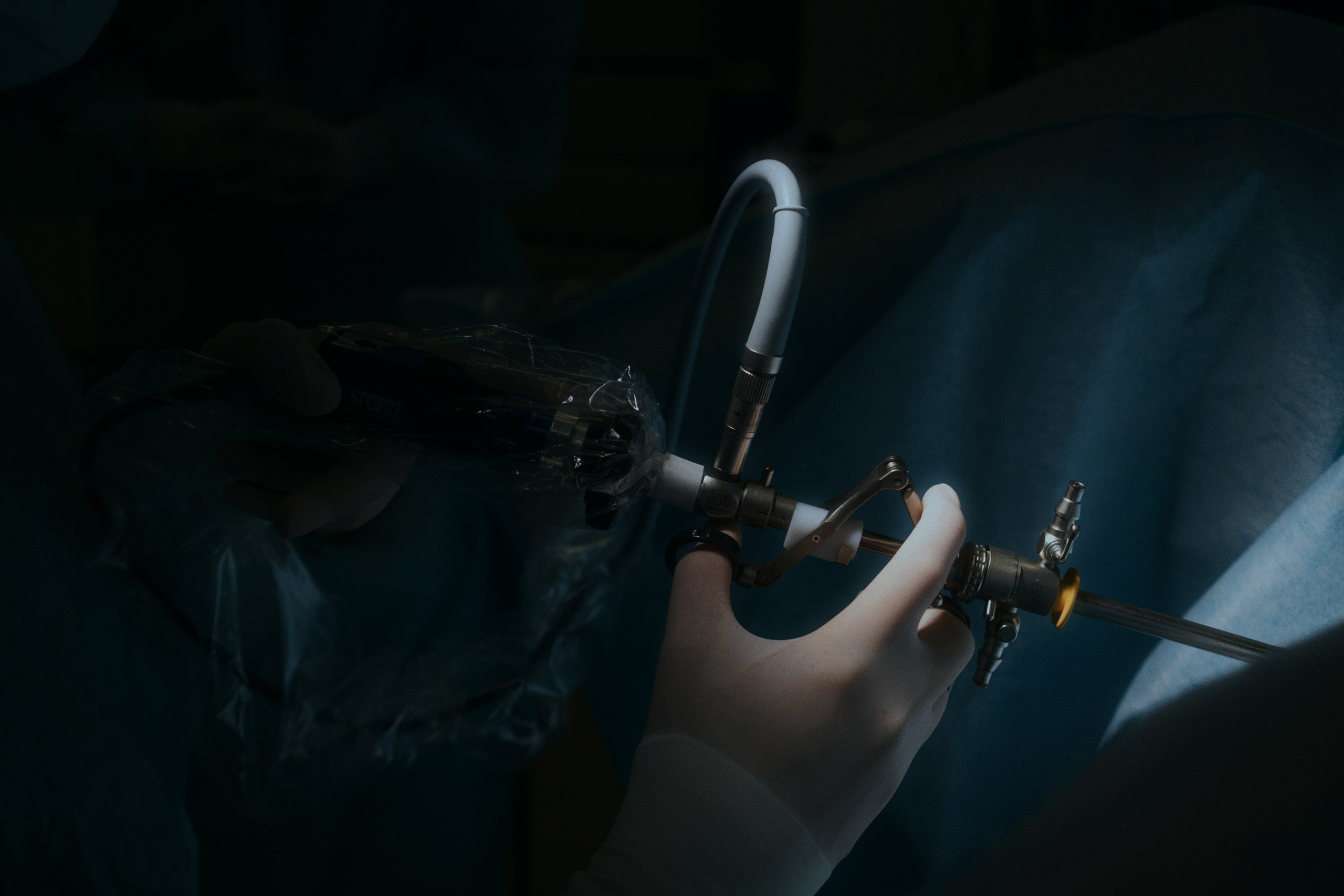 Cl laboratory. Фотограф Юрин Евгений