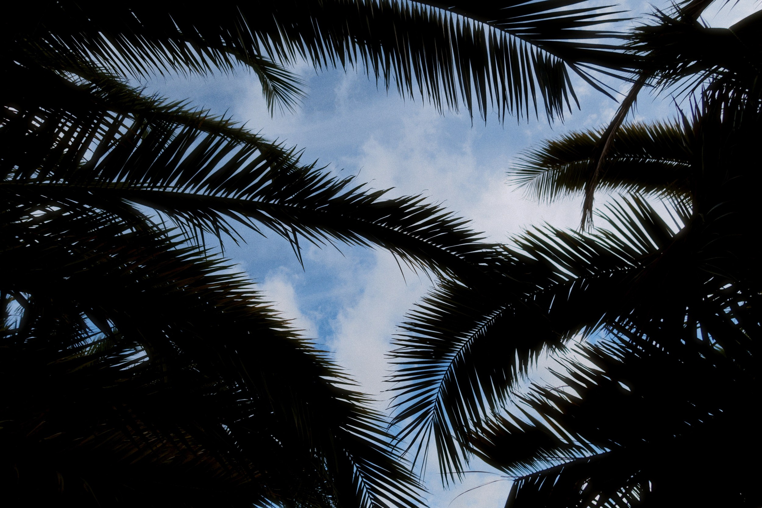 Sochi port (stratocumulus). Фотограф Юрин Евгений