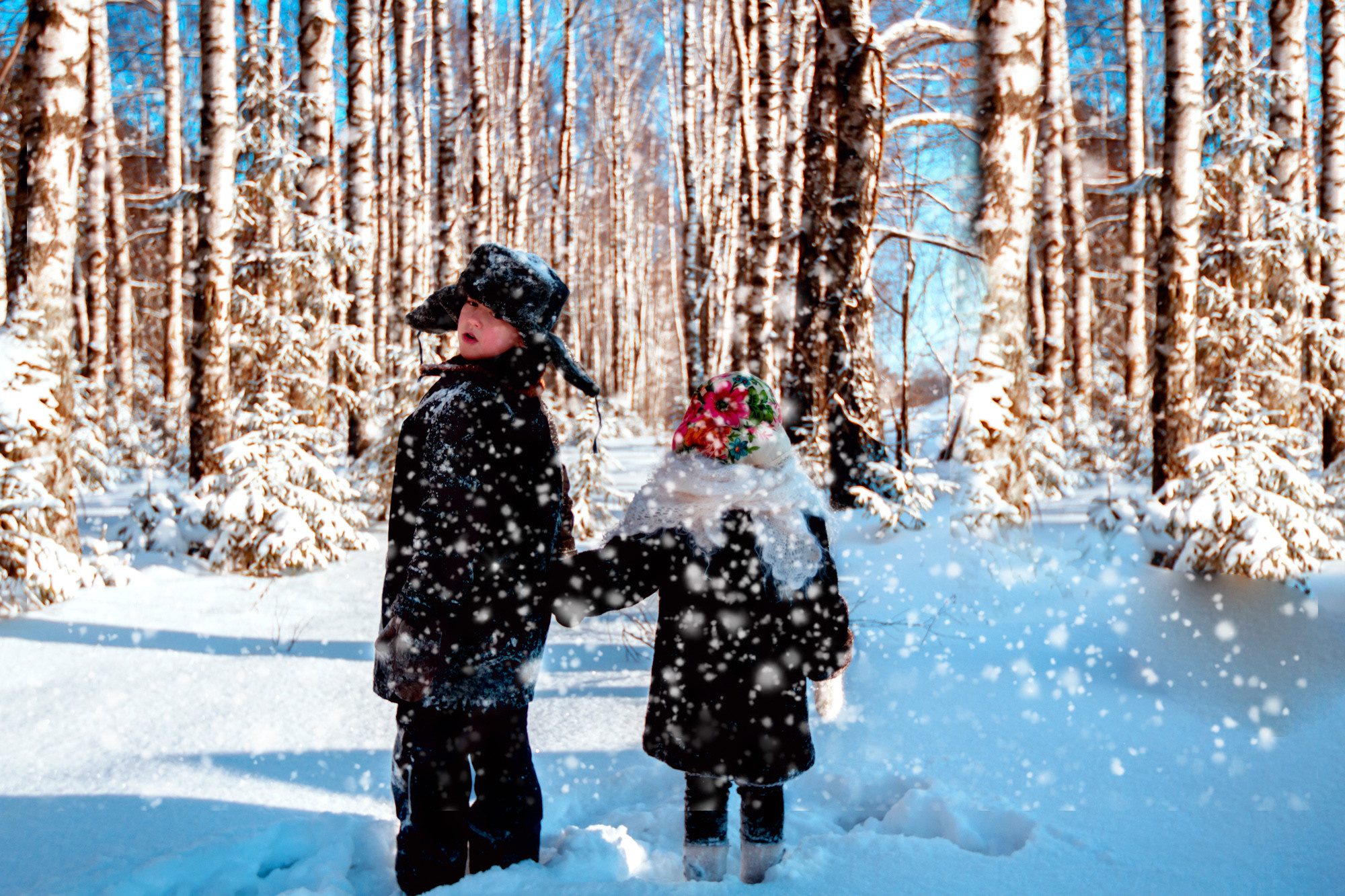 Зимний лес. Колесникова Татьяна. Фотограф новорожденных Щёлково, Москва, Королев