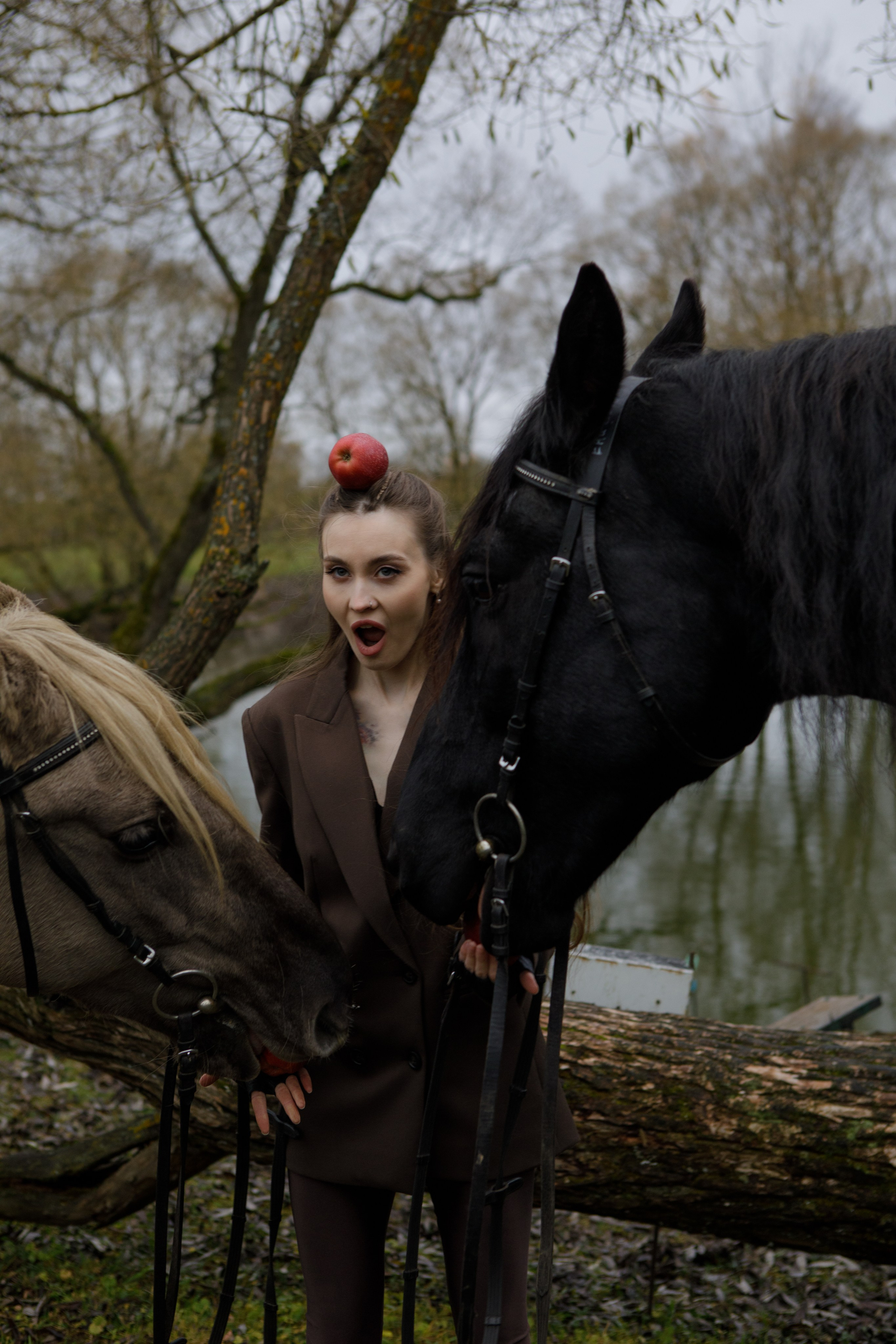 С лошадьми