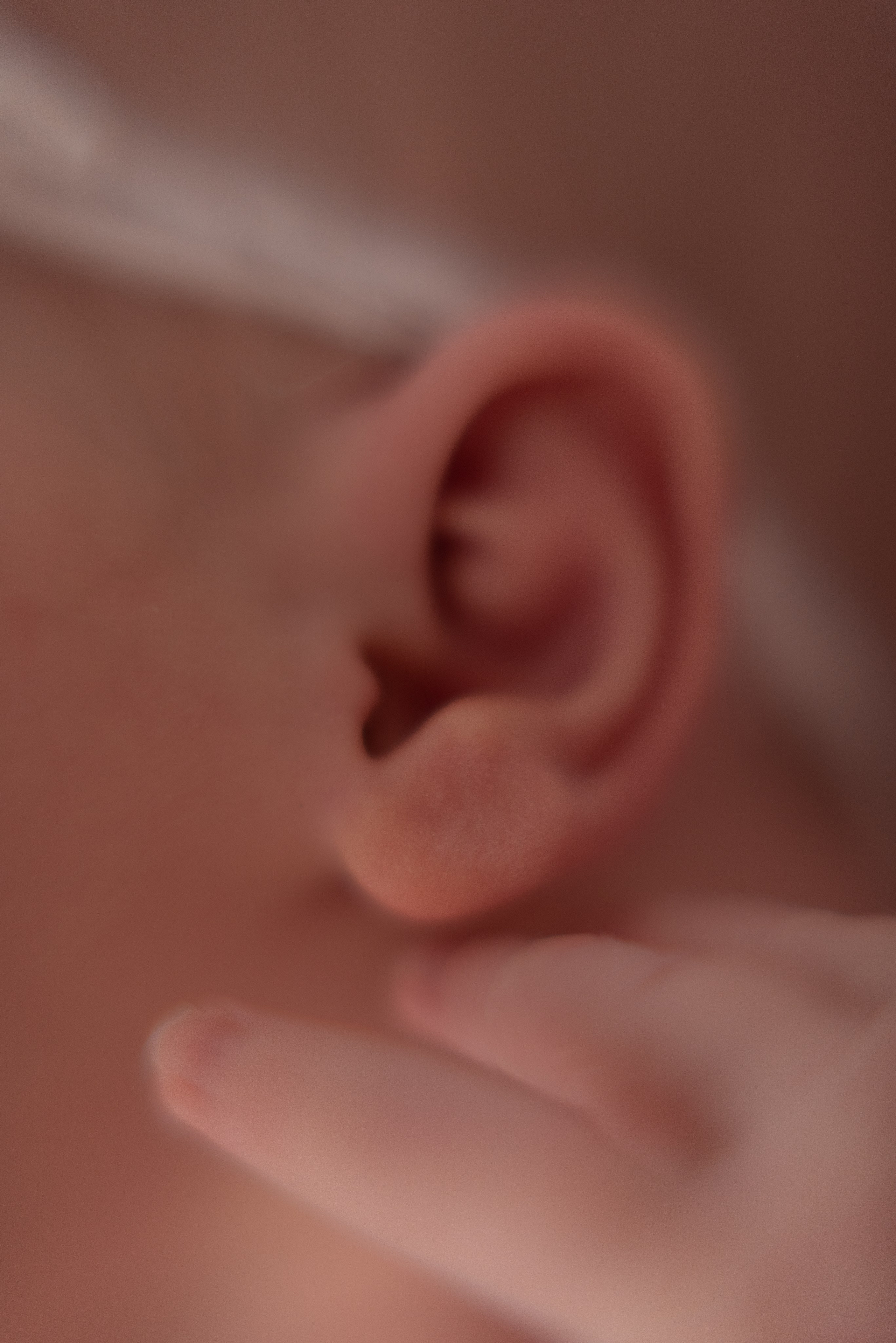 ✨. Профессиональный фотограф новорожденных Тверь