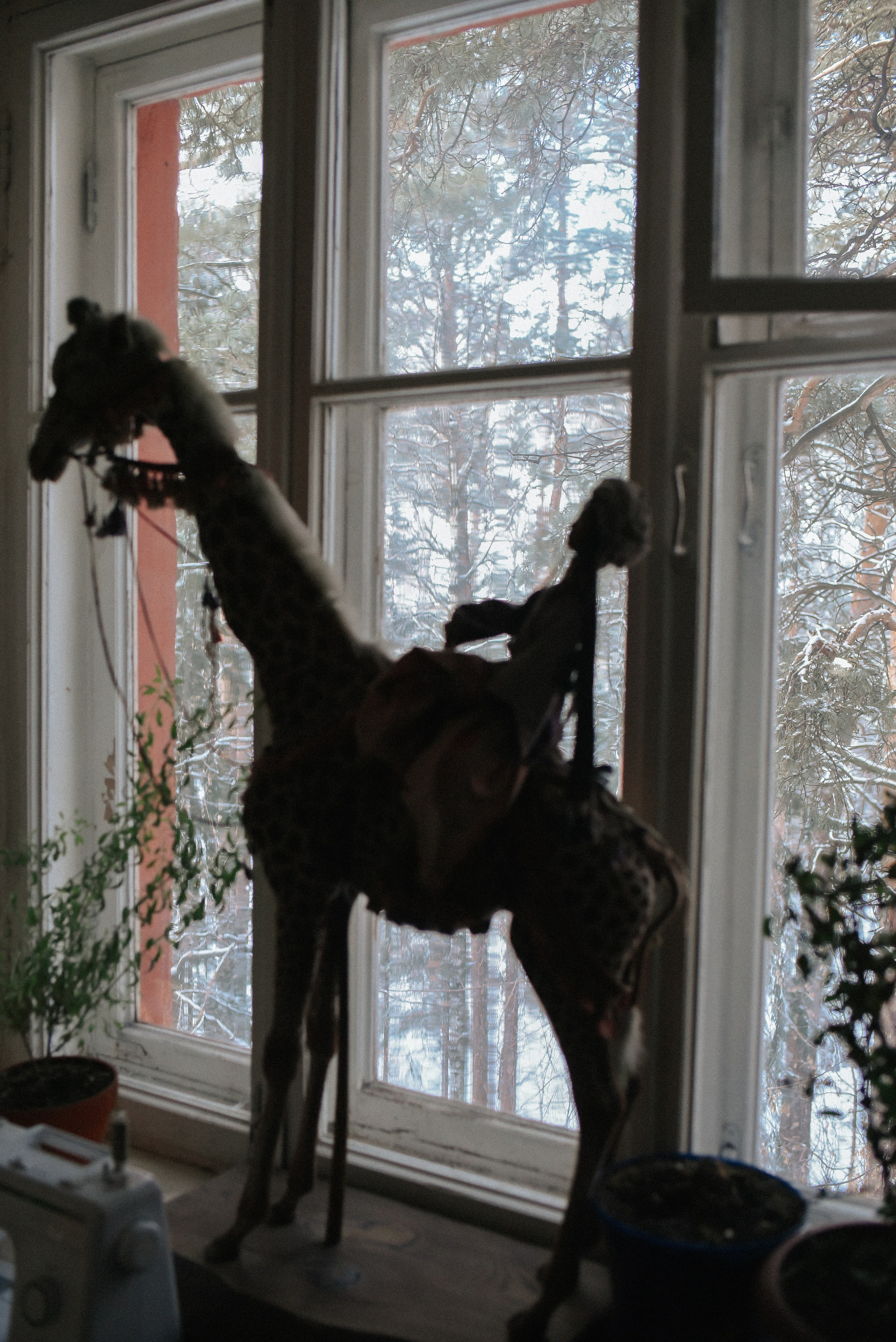 Алина и дом-музей. Детский и семейный фотограф в Новосибирске Саша Дорошенко