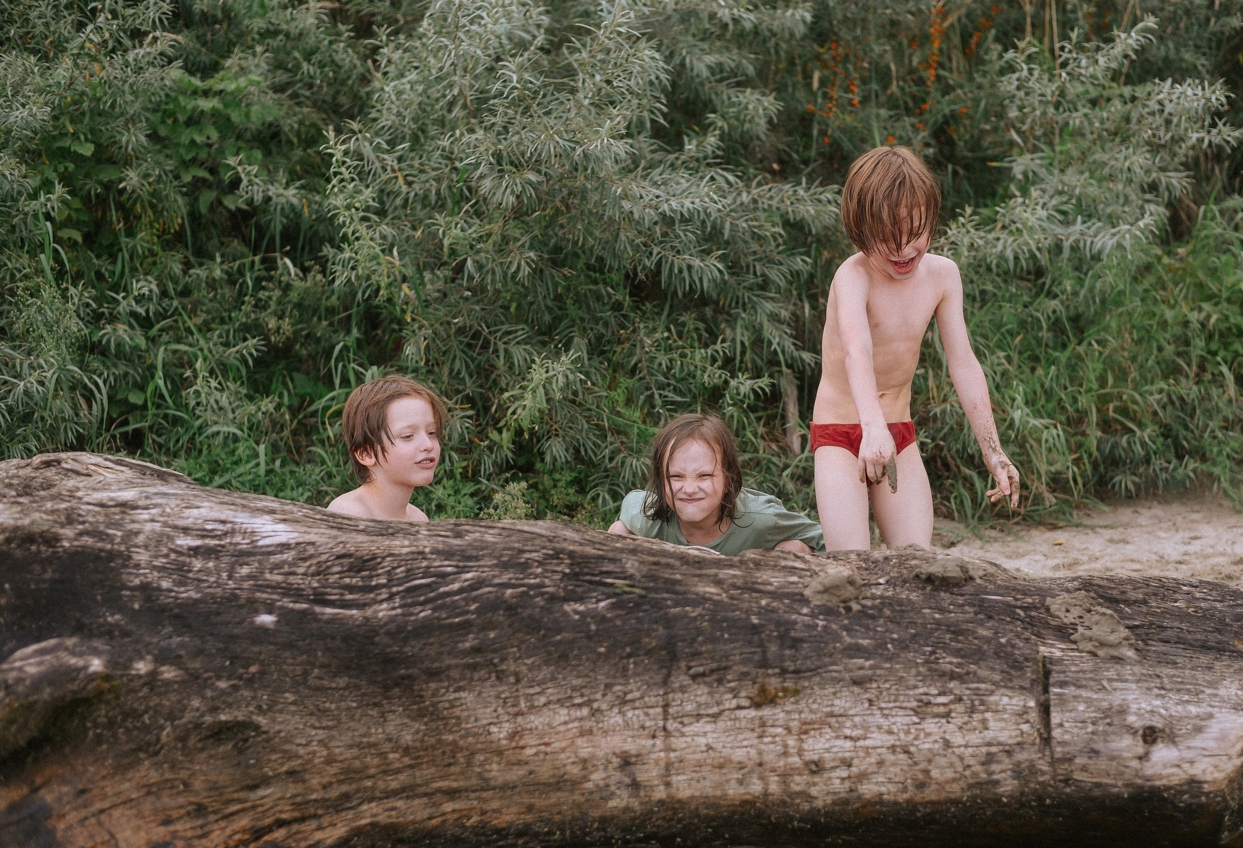 Берег, рак и капибара. Детский и семейный фотограф в Новосибирске Саша Дорошенко