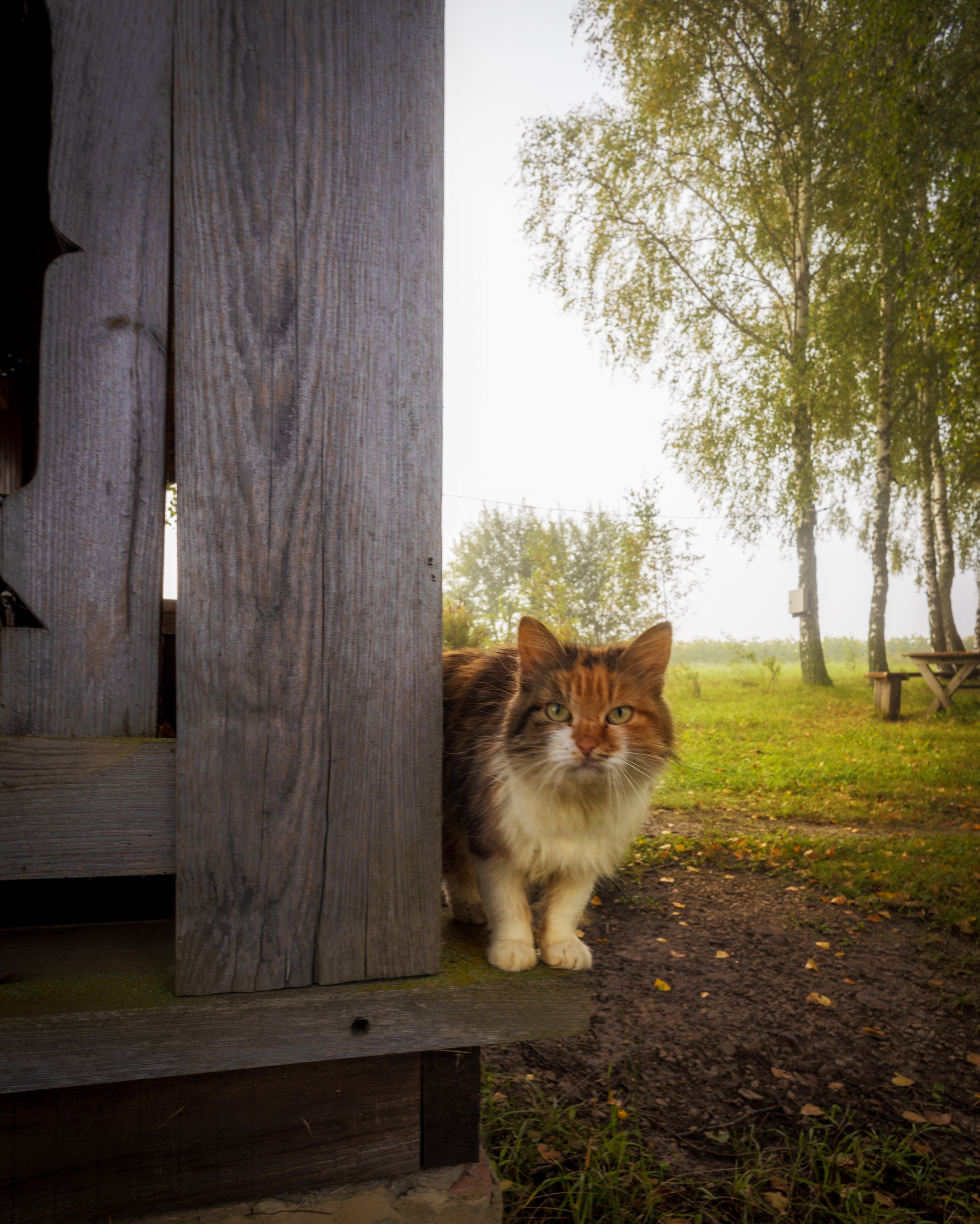 Одоевский район. Фотохудожник Артём Парамонов