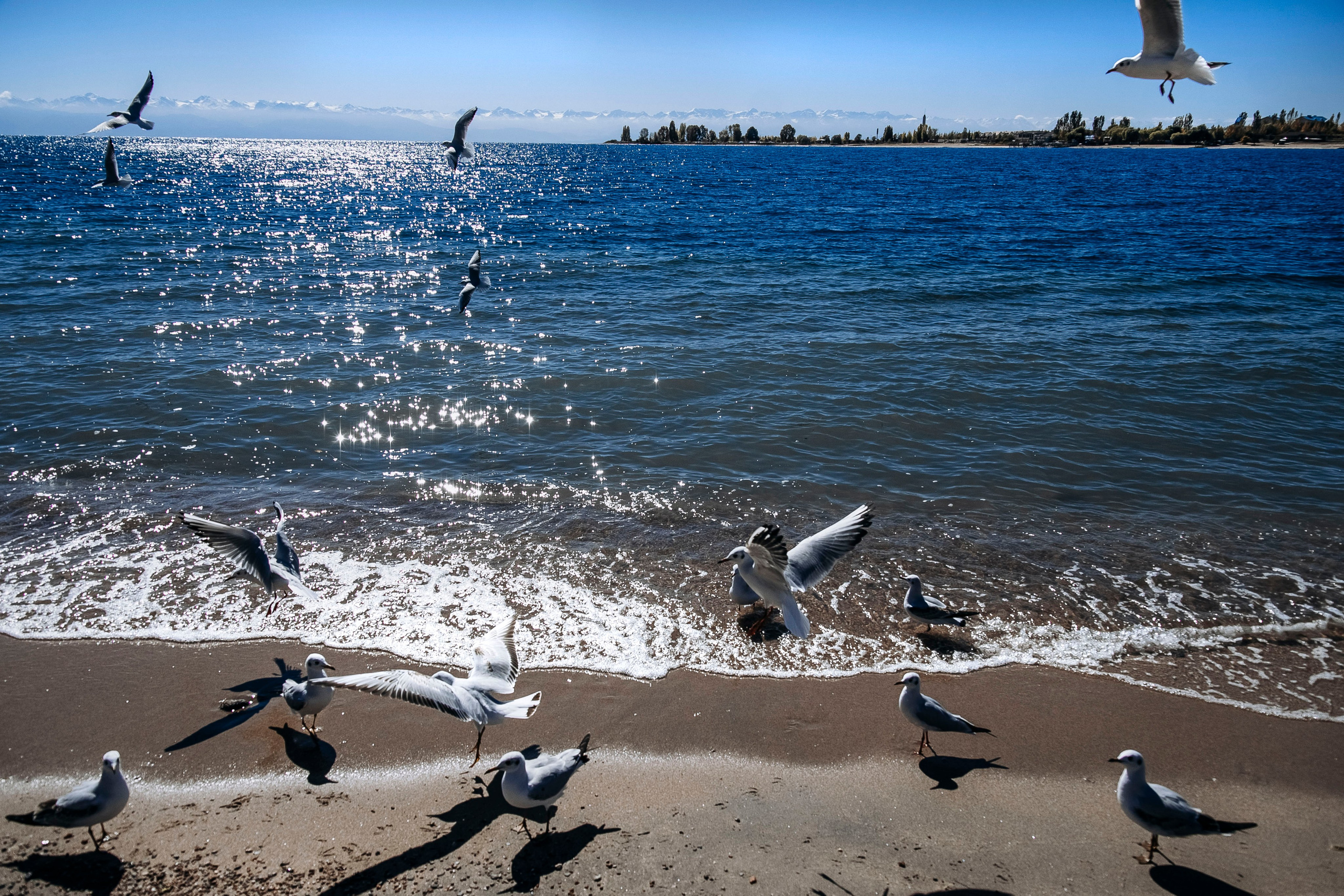 Кыргызстан. Iraogo