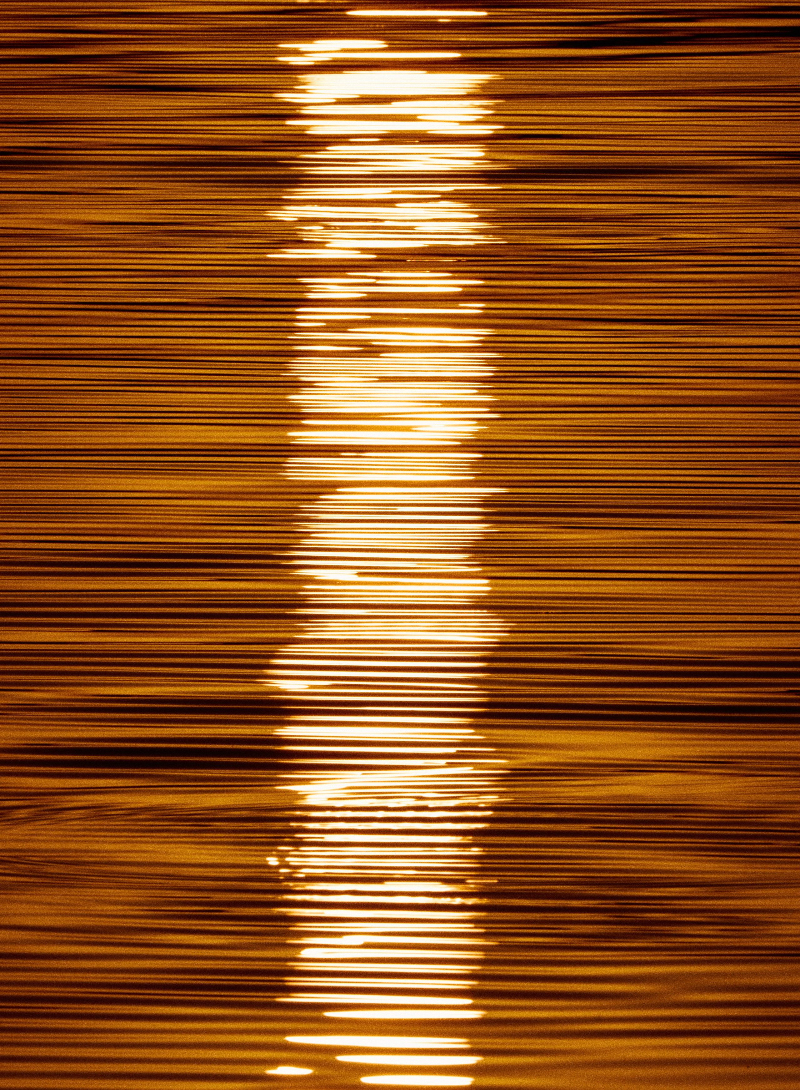 Gambia River. See the moment and catche. commercial and reportage