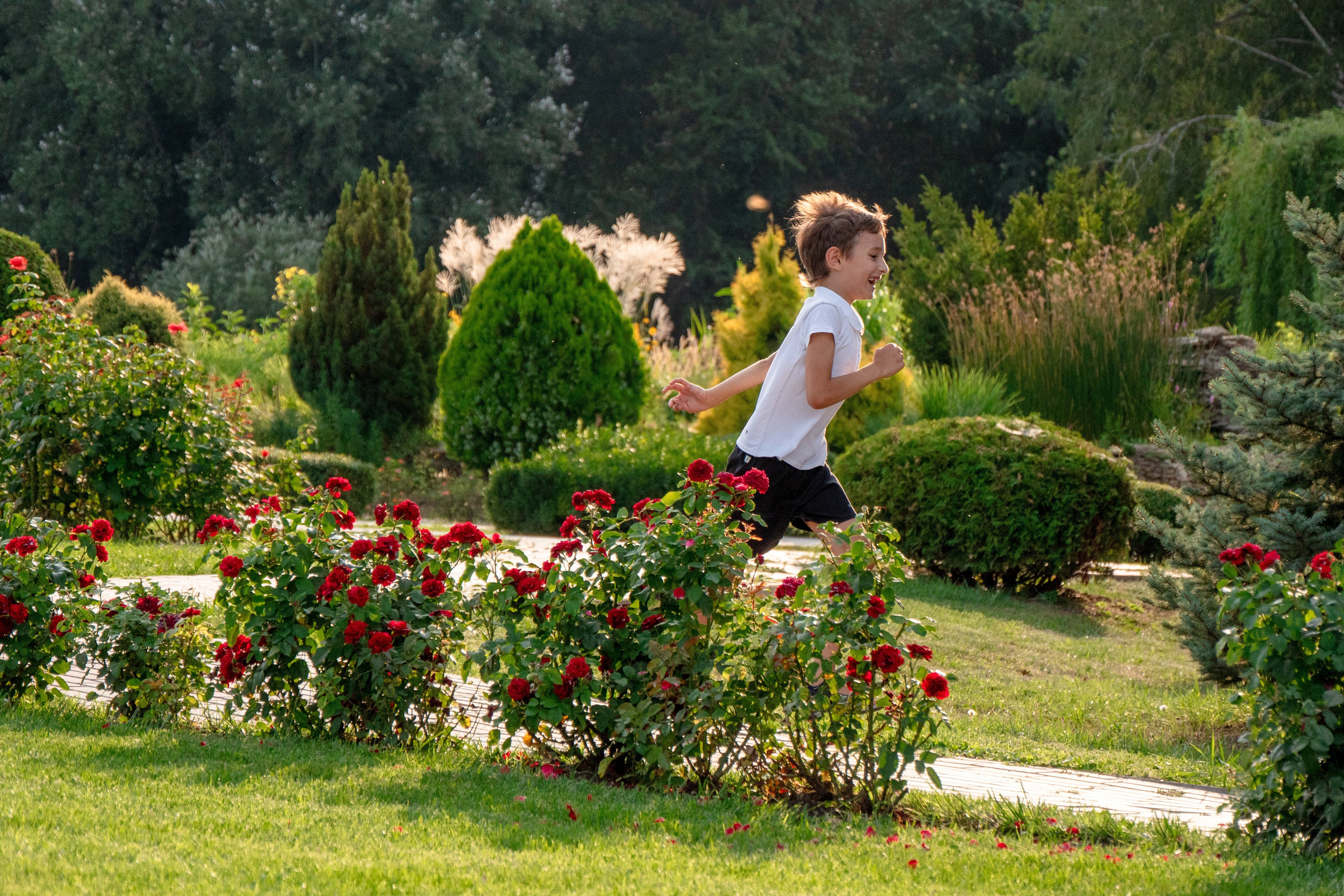 Дети в парке