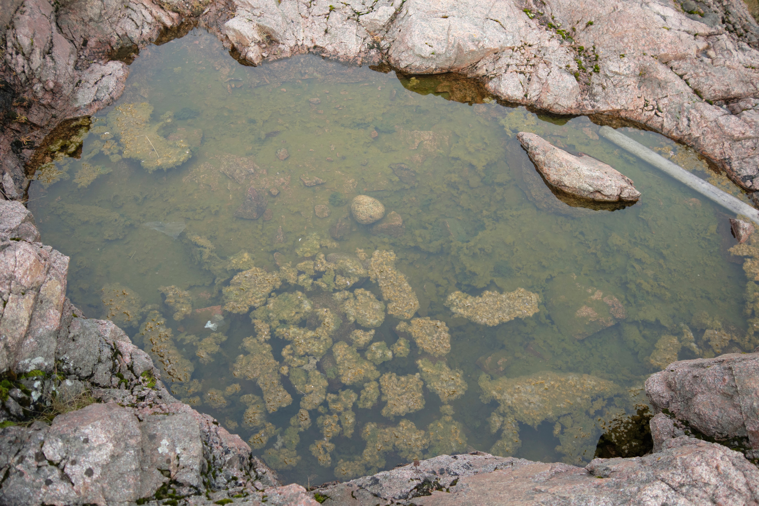 Путешествие в Териберку. Елена Павленко. Фотограф. Москва