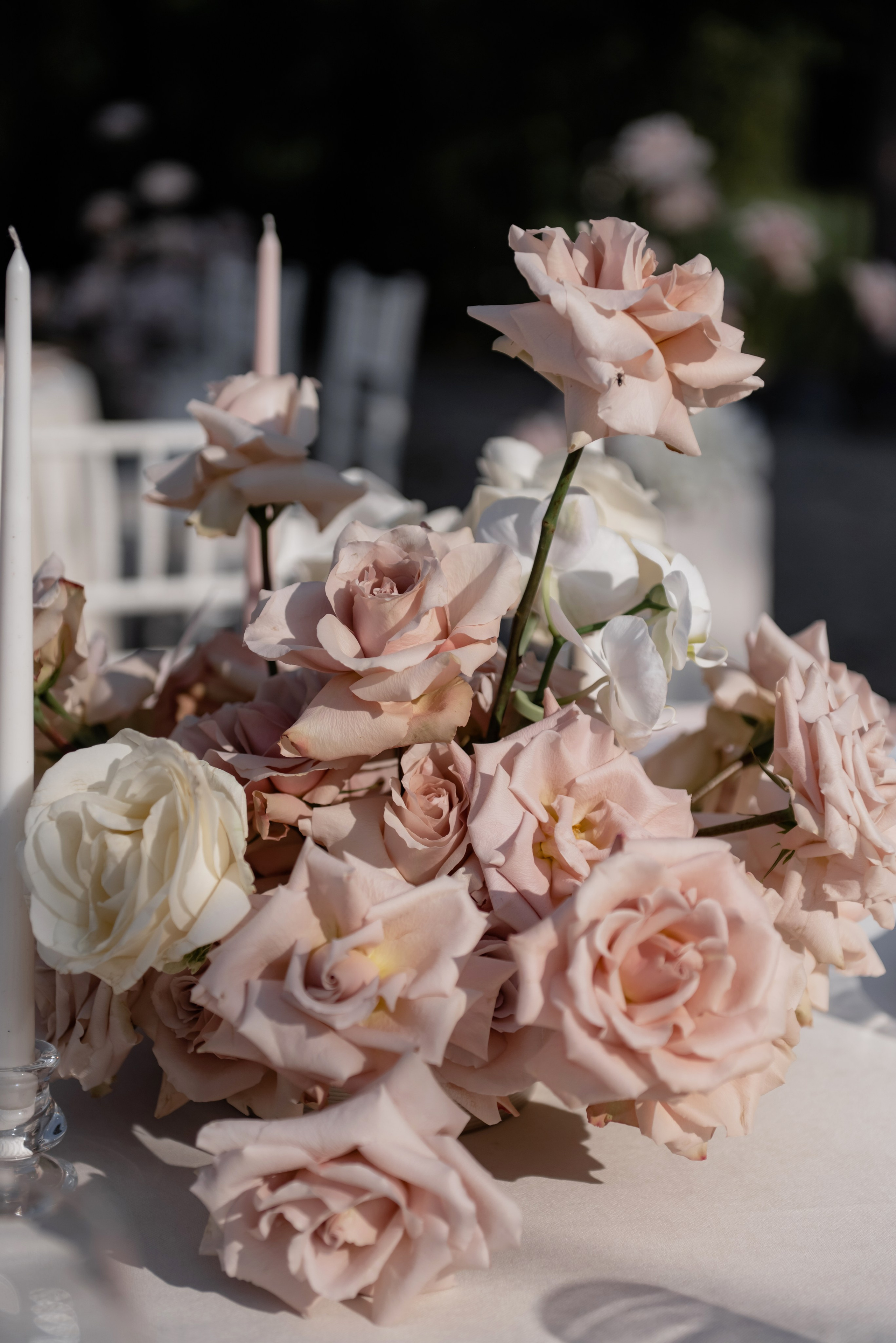 Evgeniy|Diana. Свадебный фотограф в Минске и Санкт-Петербурге Вероника Аксенова