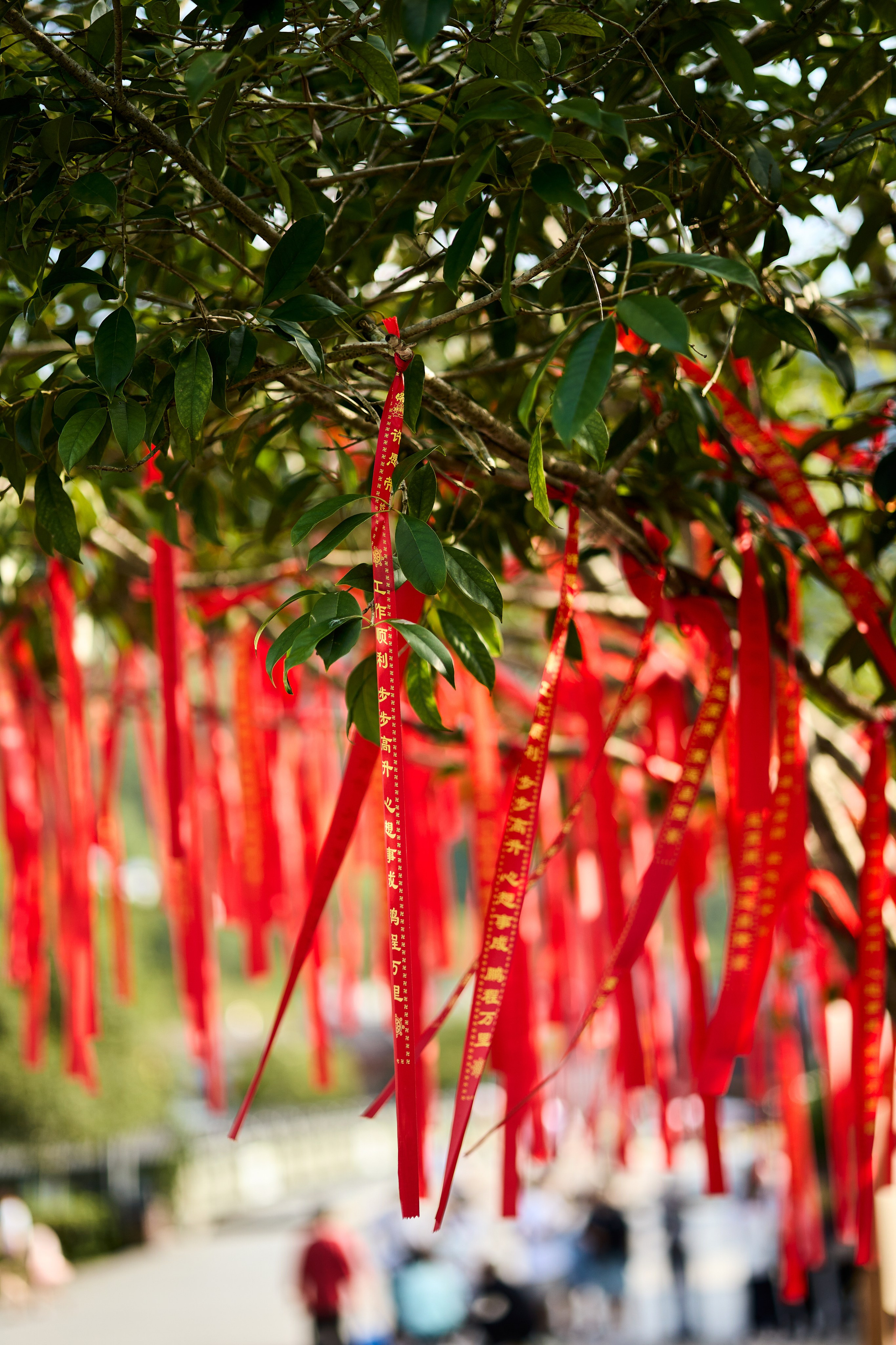 Китай. Хороший репортажный и промышленный фотограф в Казани Алексей Щелконогов