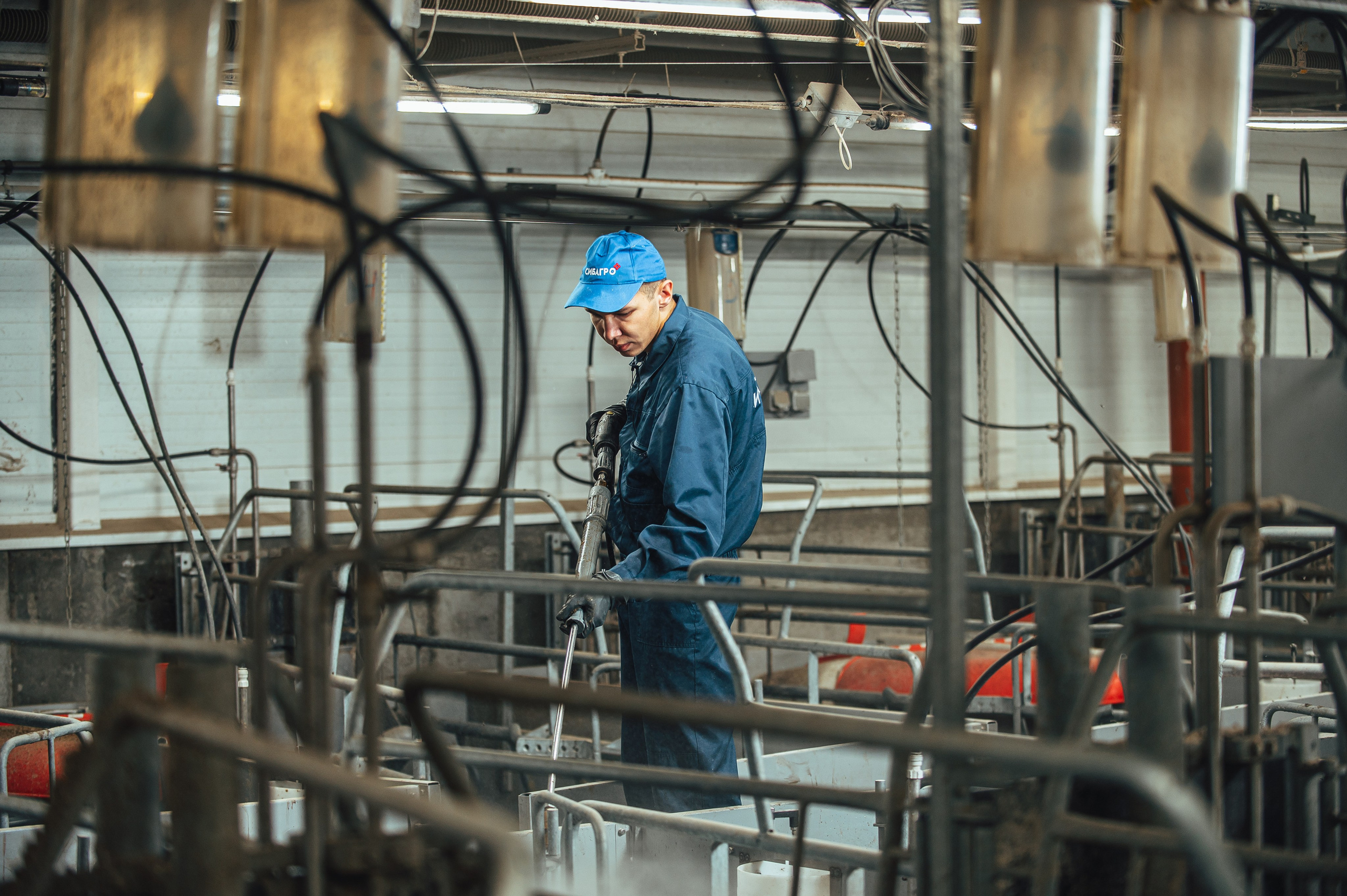 Свинокомплекс «СИБАГРО». Свадебная и концептуальная фотография в городе Улан-Удэ