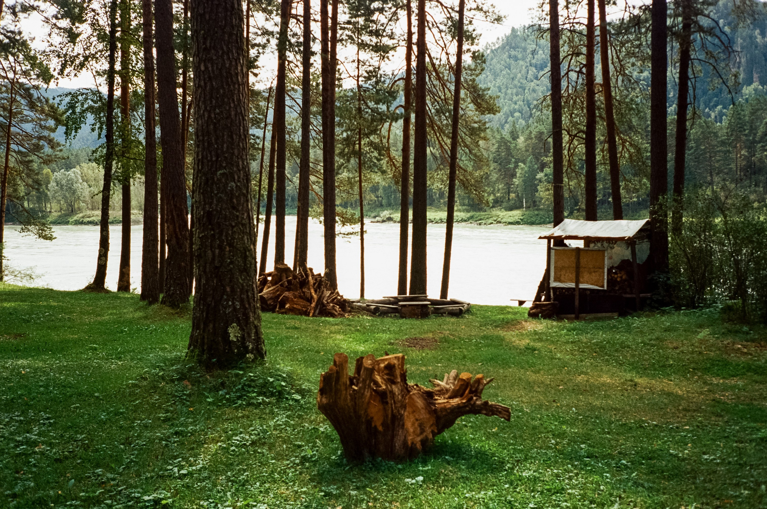 Кедровый остров, Катунь и скалы. Фотограф-документалист Мария Осокина