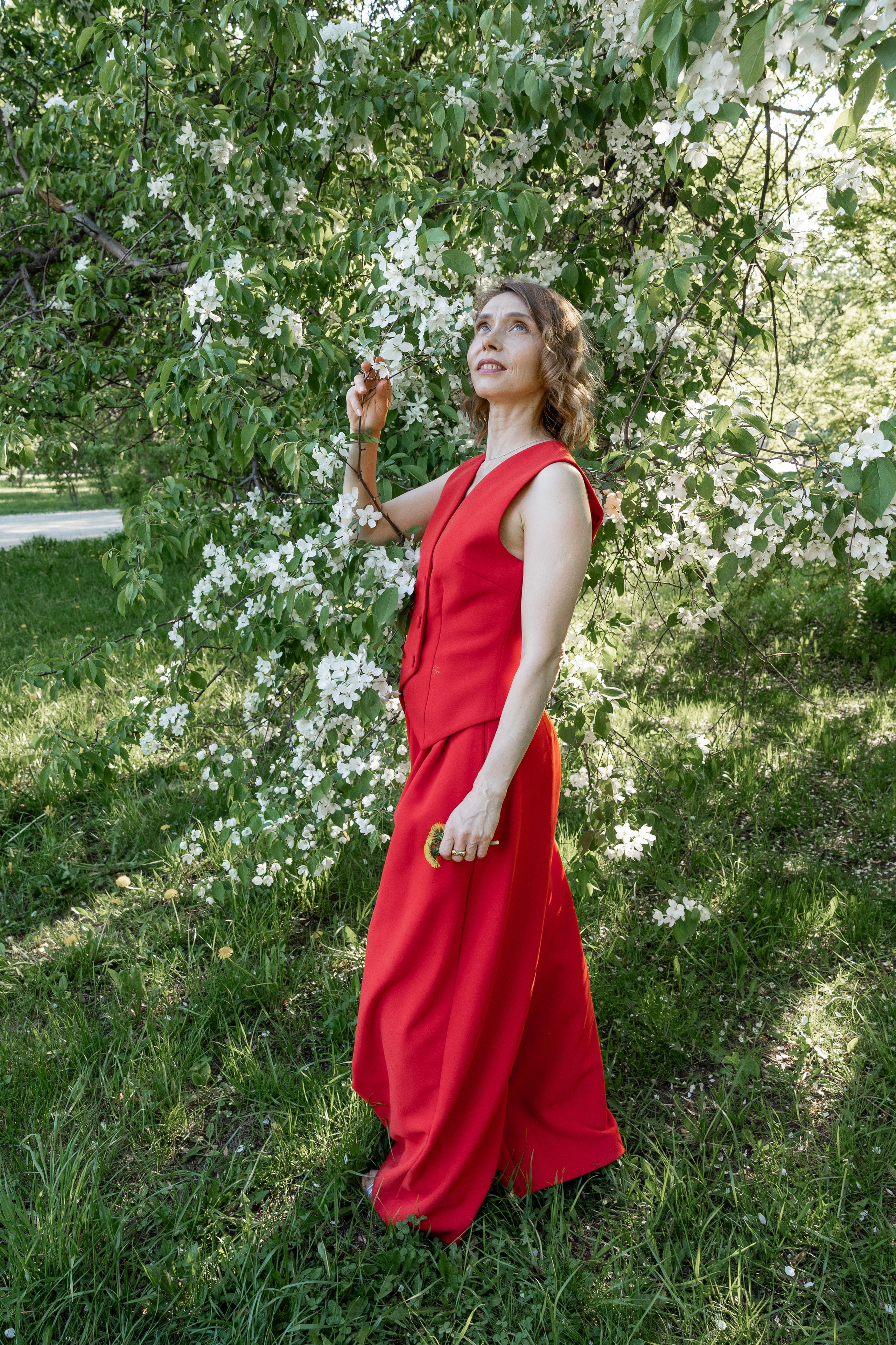 Яблоня. Фотограф Екатерина Голицына