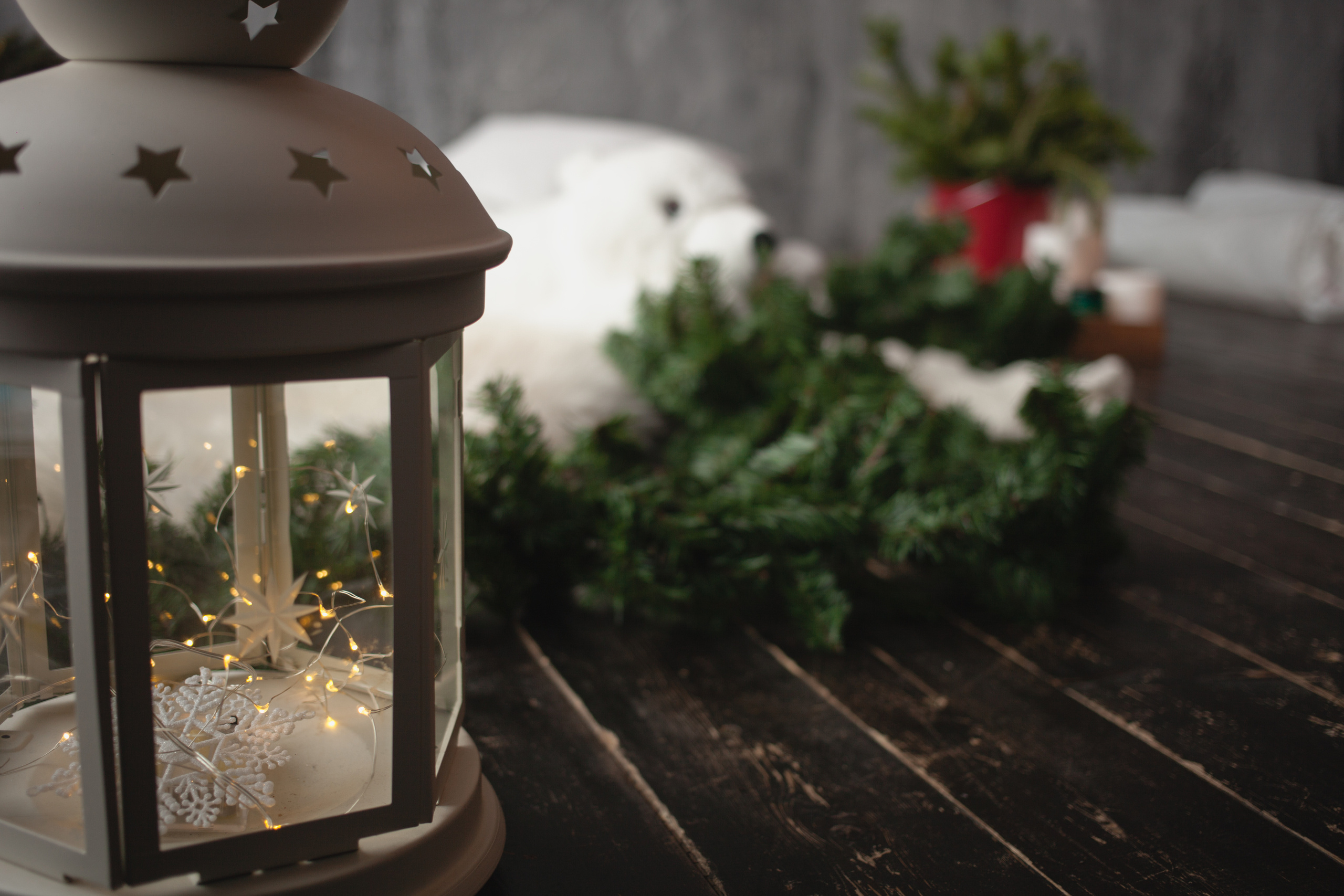 Одно счастье для троих. Фотограф в Сербии Азалия Фомина