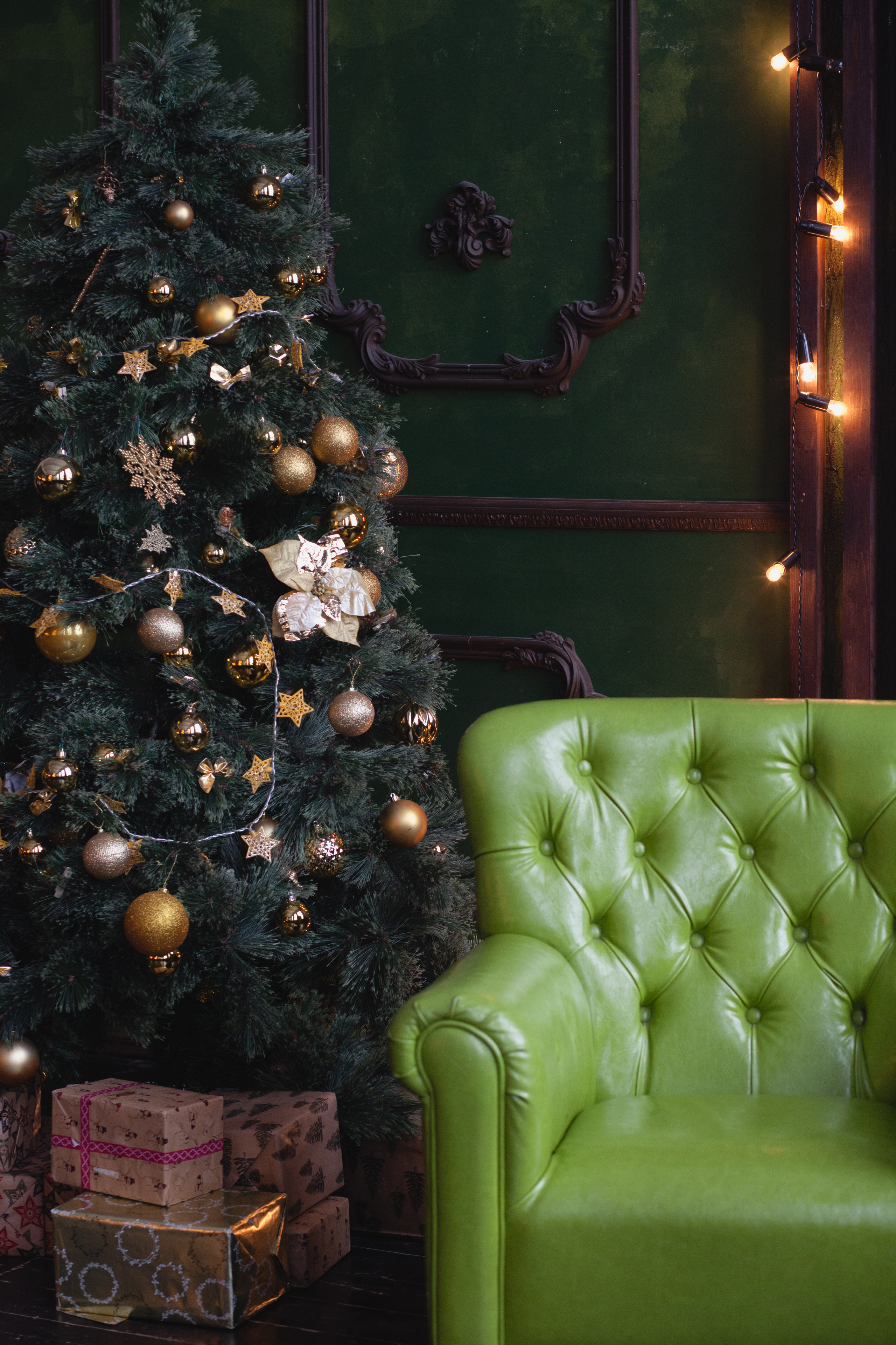 Одно счастье для троих. Фотограф в Сербии Азалия Фомина