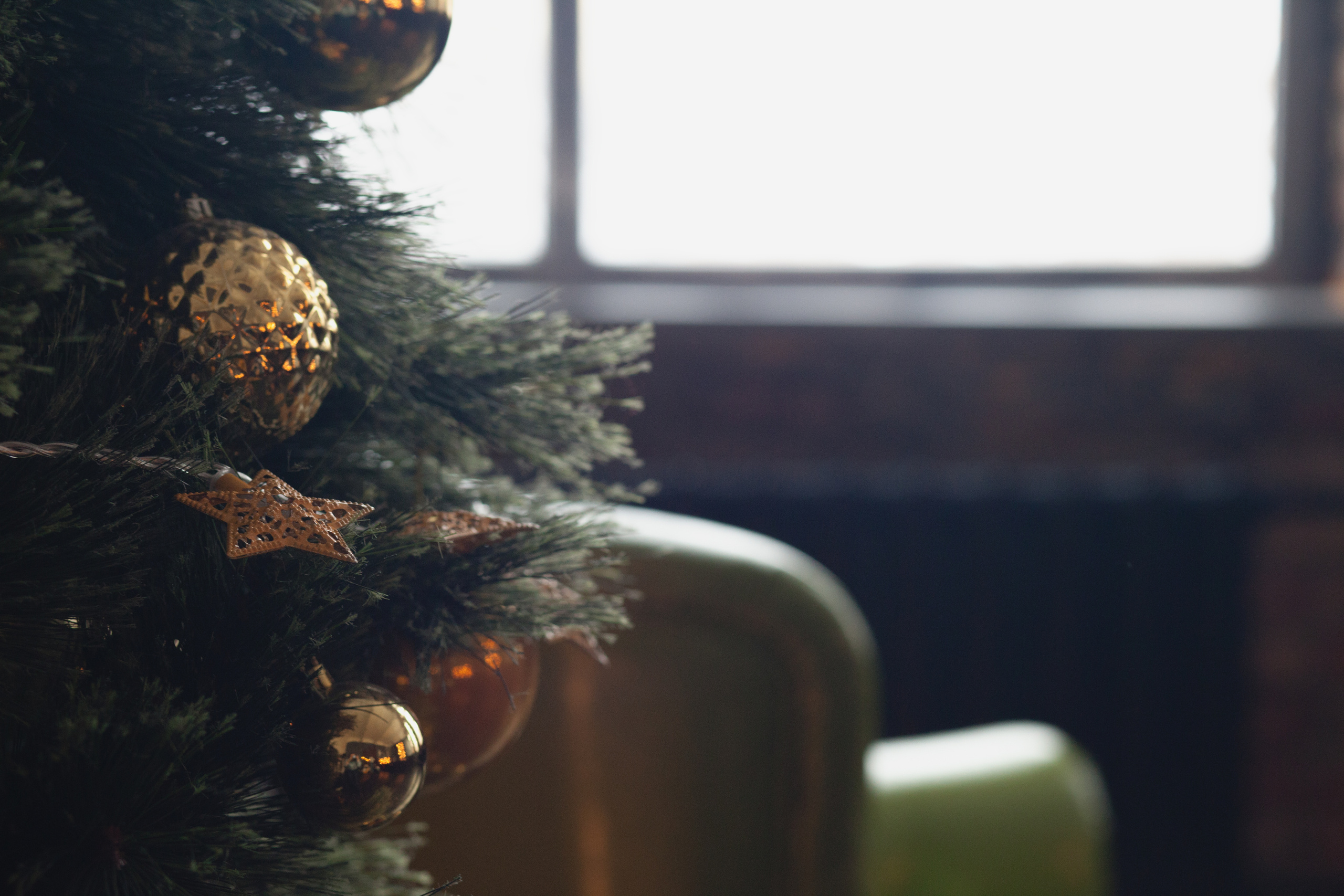 Одно счастье для троих. Фотограф в Сербии Азалия Фомина