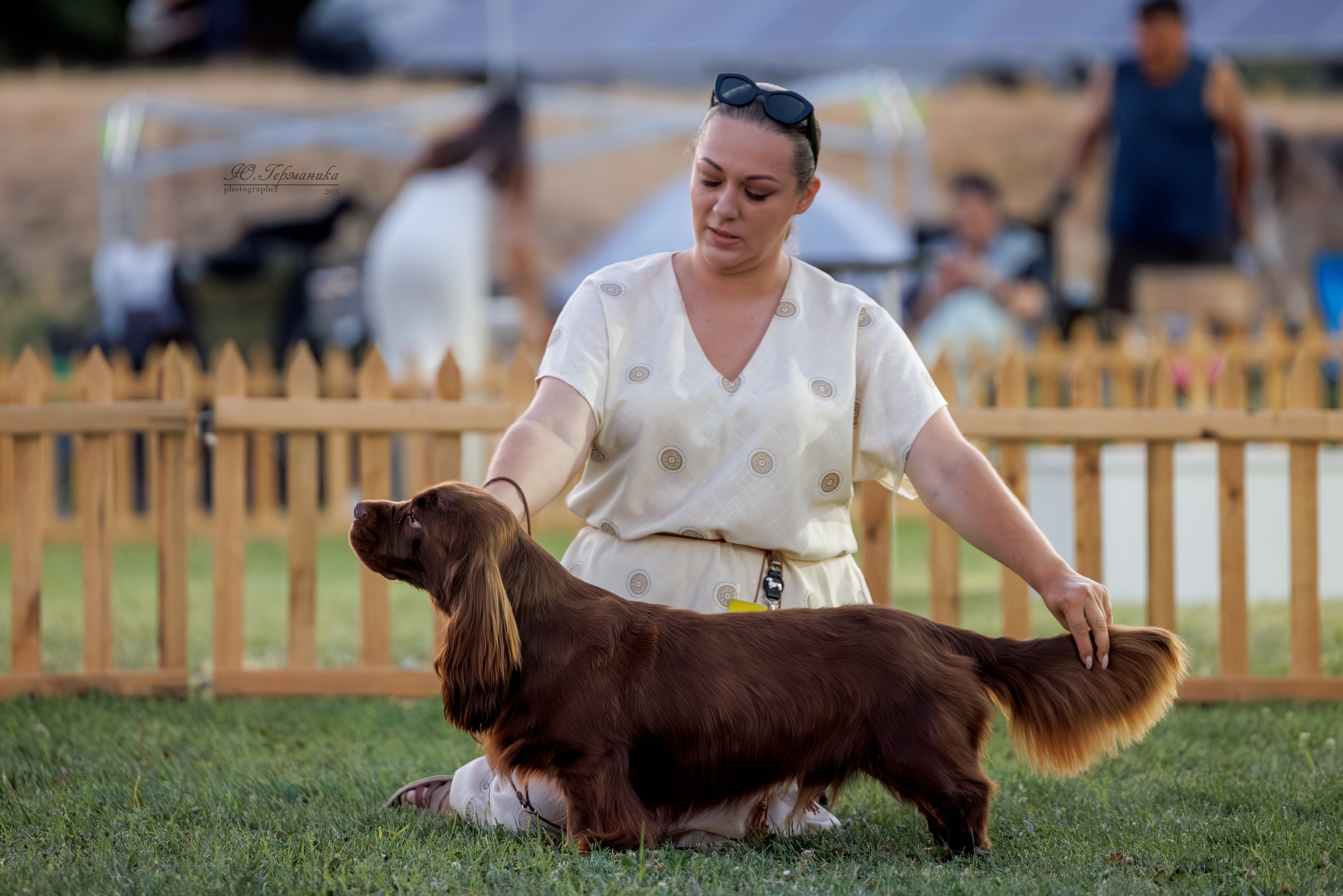 Ереван 3хCACIB 23-25.06.2025. Фотограф-анималист Юлия Германика