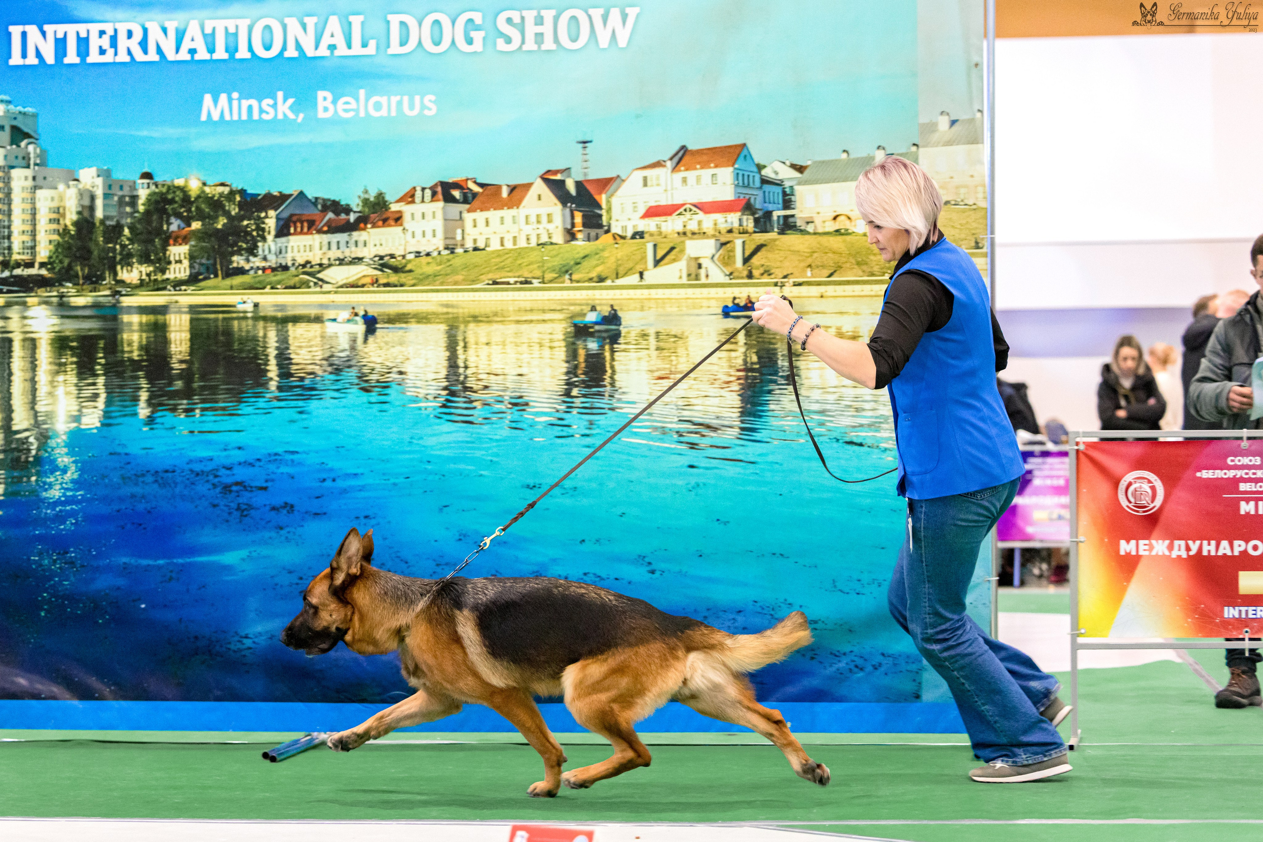 Минск 25-26.11.2023. Фотограф-анималист Юлия Германика