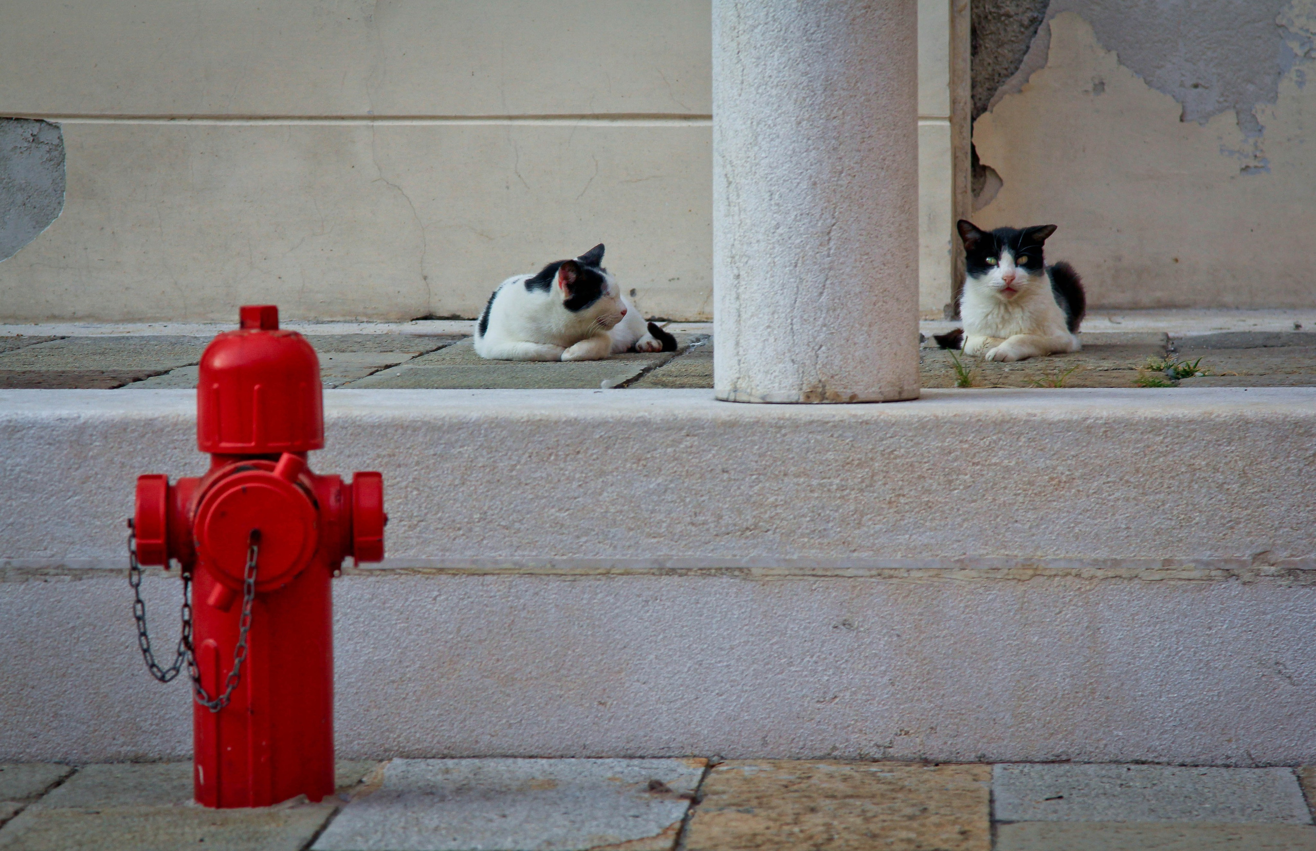 ИТАЛИЯ. Стрит-фотография, полная абсурда, идиотизма и красоты