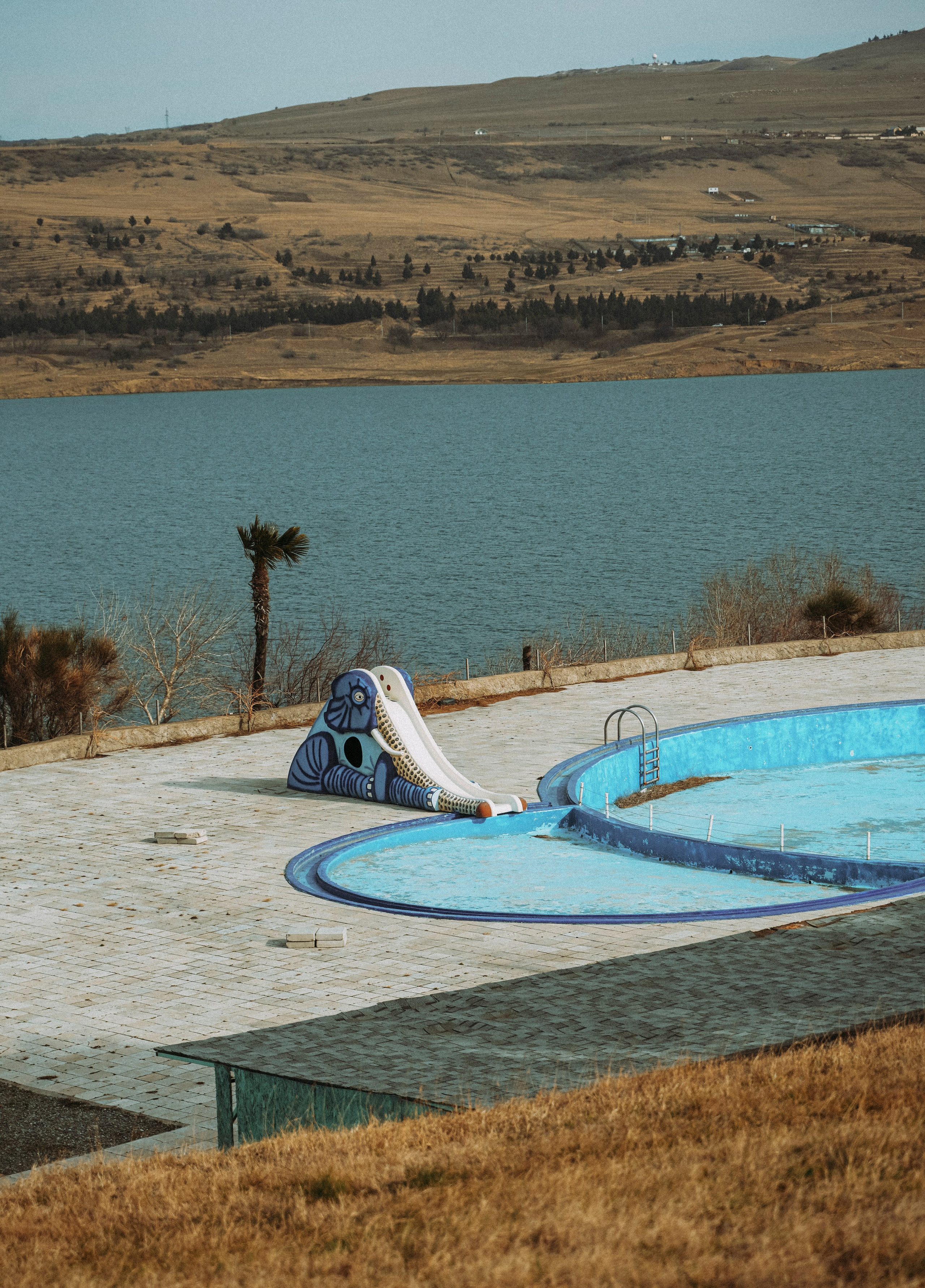 ТБИЛИСИ 2023-2024. Стрит-фотография, полная абсурда, идиотизма и красоты