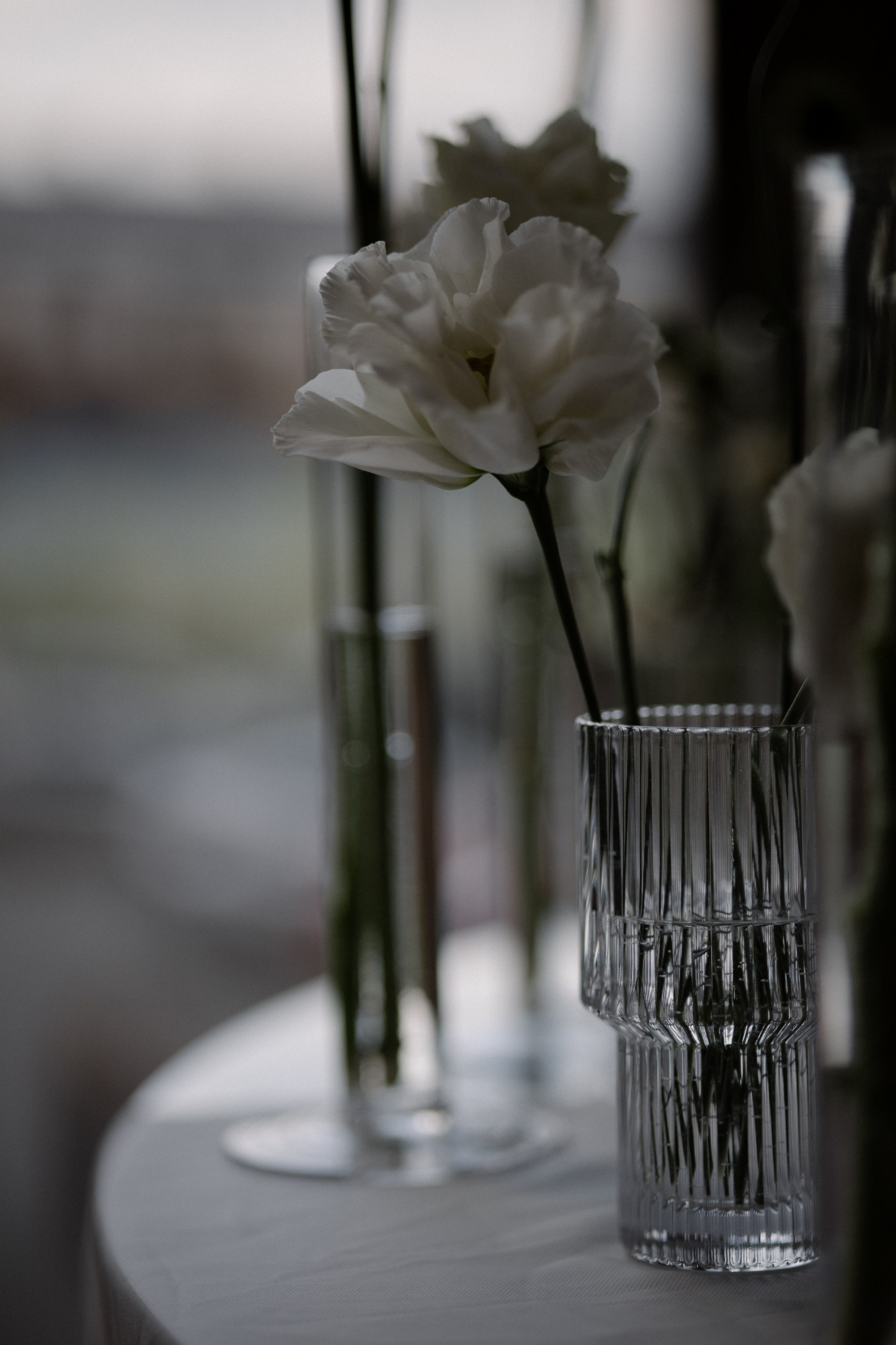 Владислав&Маргарита. Свадебный и семейный фотограф