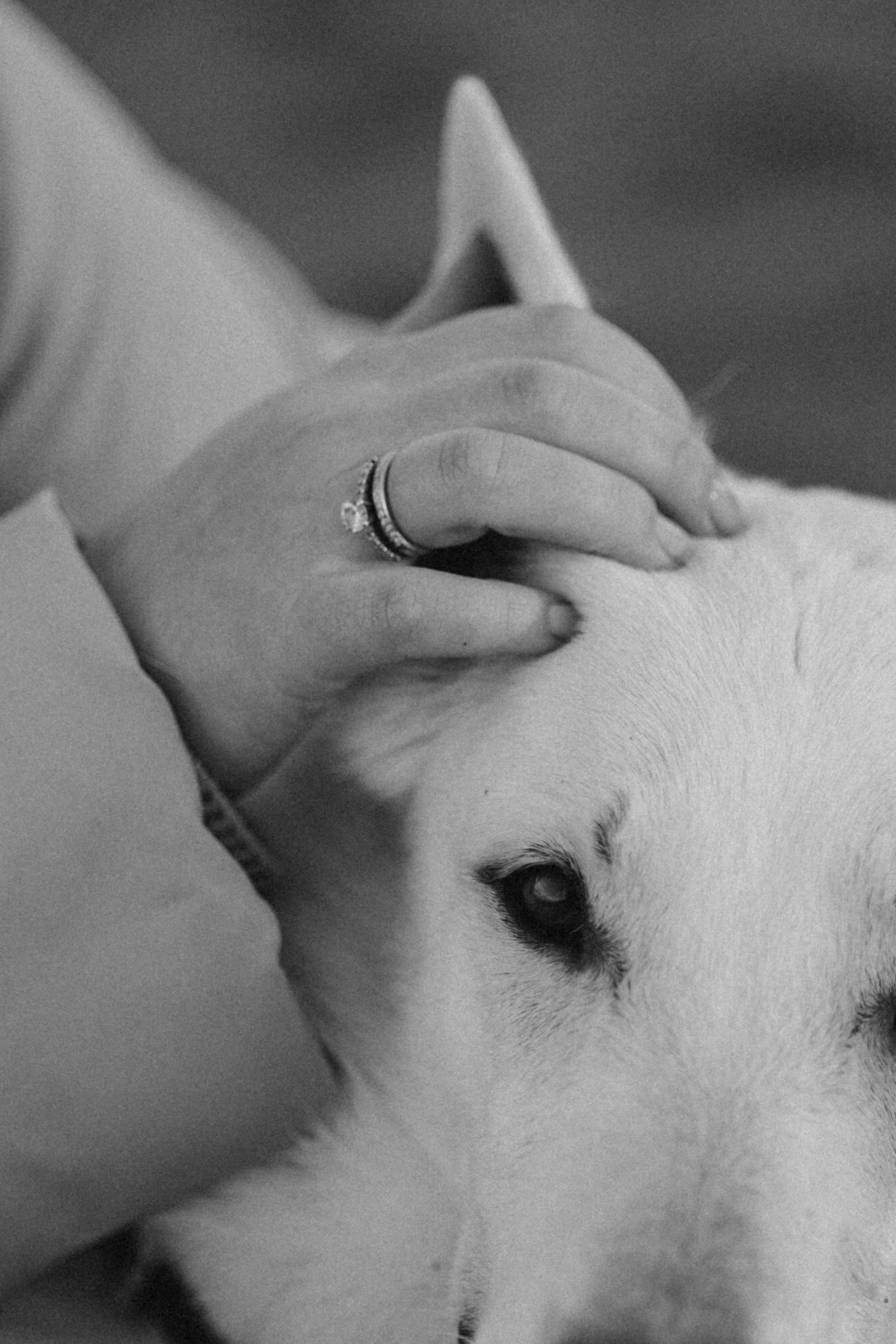 Настя и Эва. Фотограф — Анималист | Санкт-Петербург