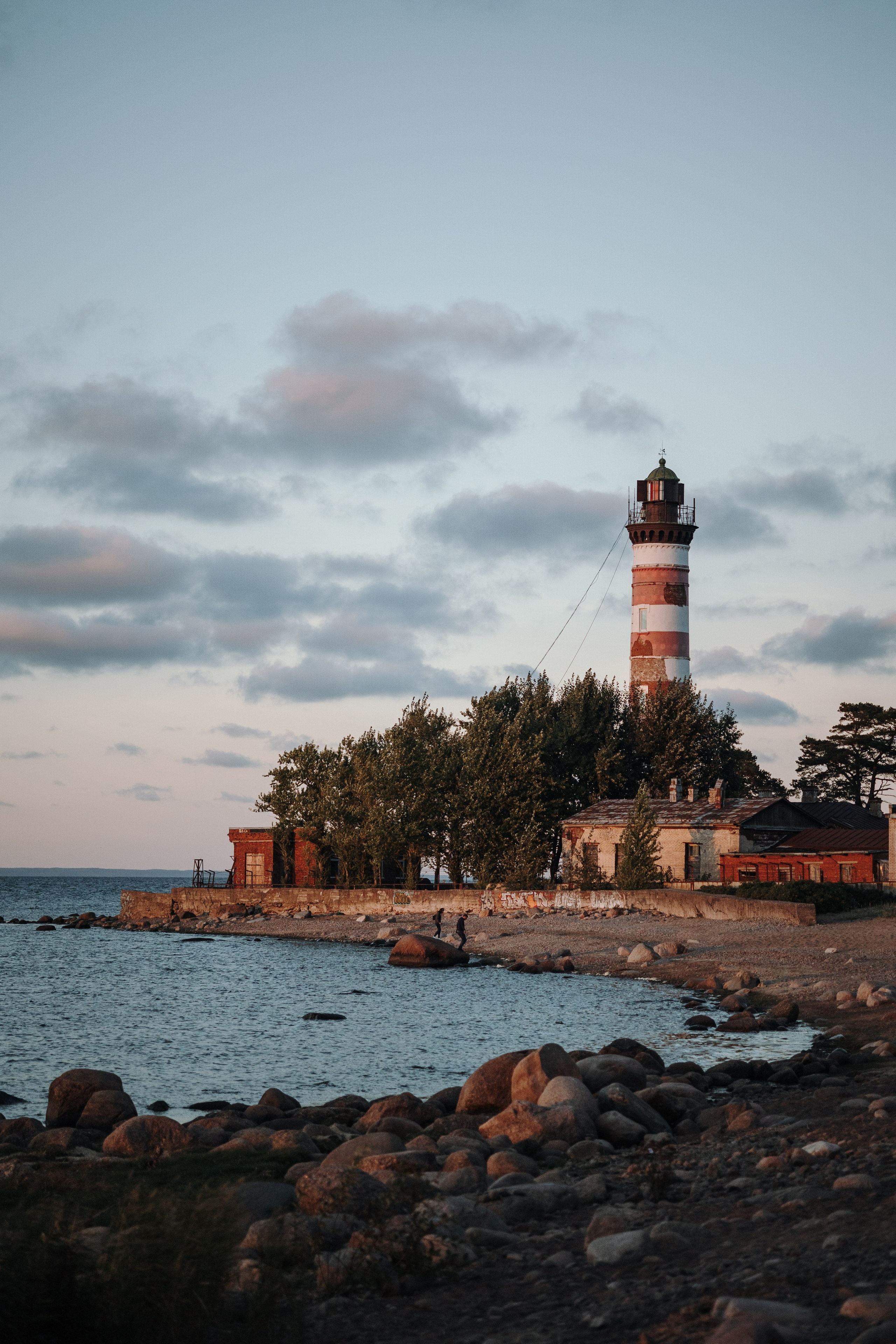 Верон, Гарри и их семья. Фотограф — Анималист | Санкт-Петербург