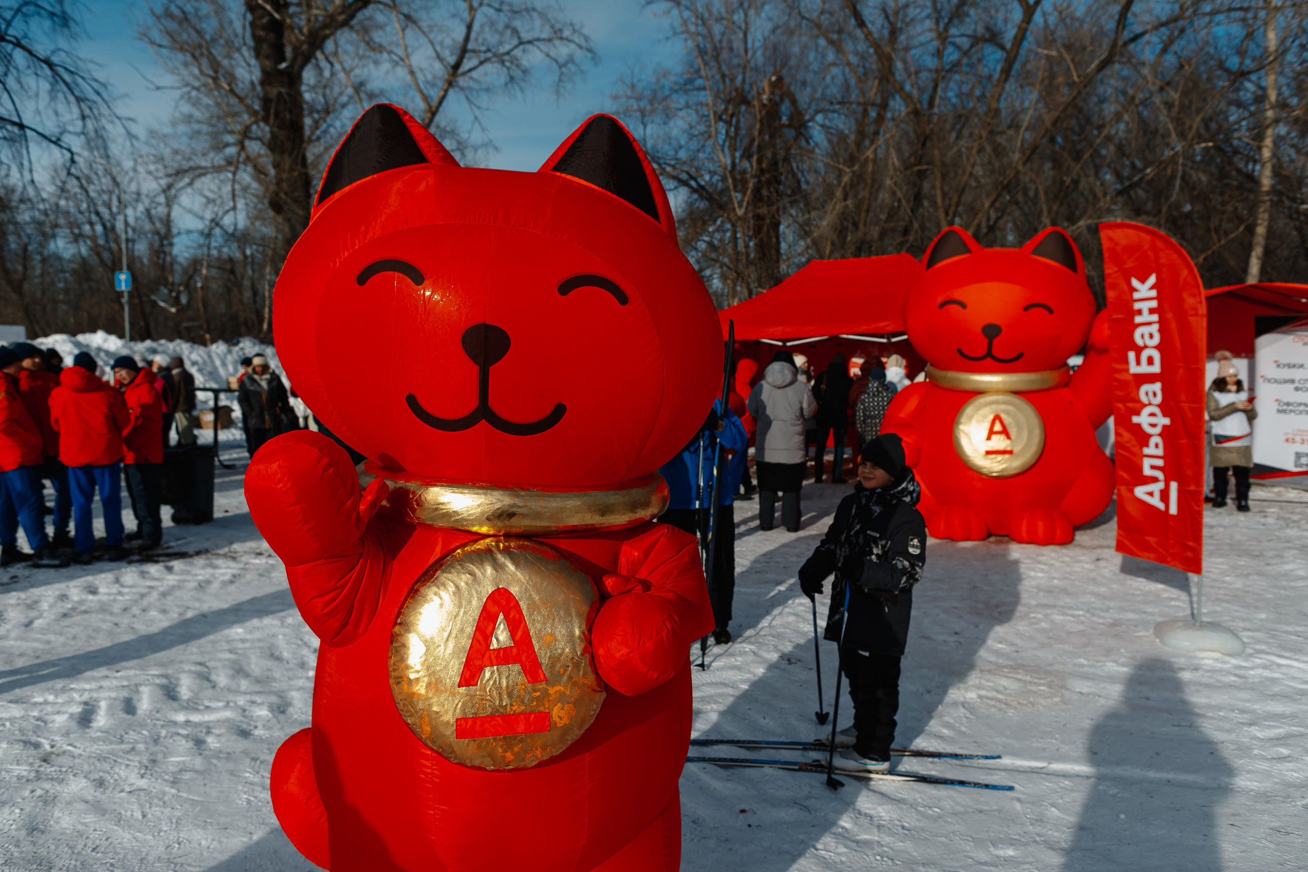 Кейс Альфа. Фотограф Дмитрий Анпилогов