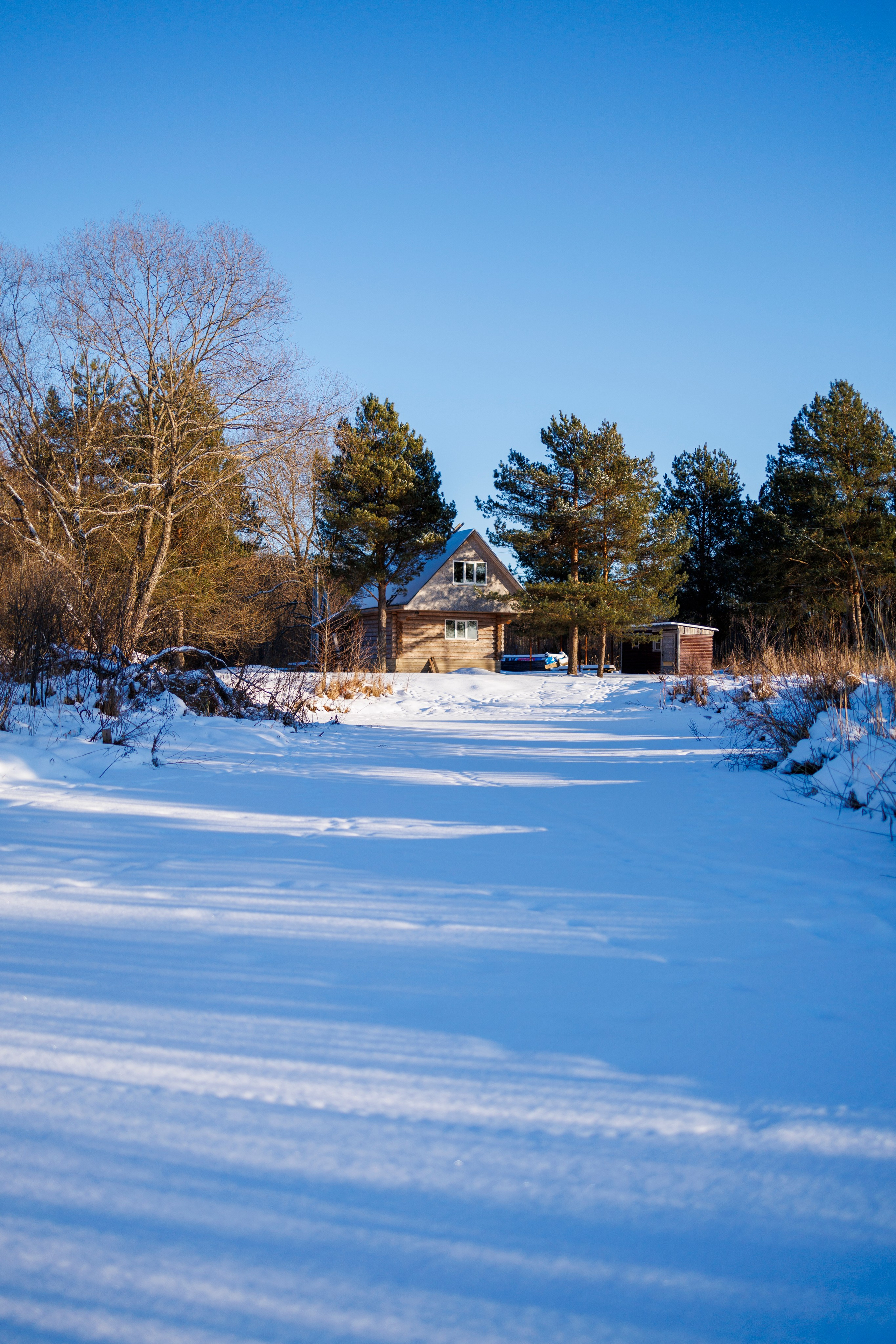 Авторская фотография и эстетика Петербурга | Роман Карбышев. Репортажный фотограф | Снимки за 3 дня | СПБ и ЛО