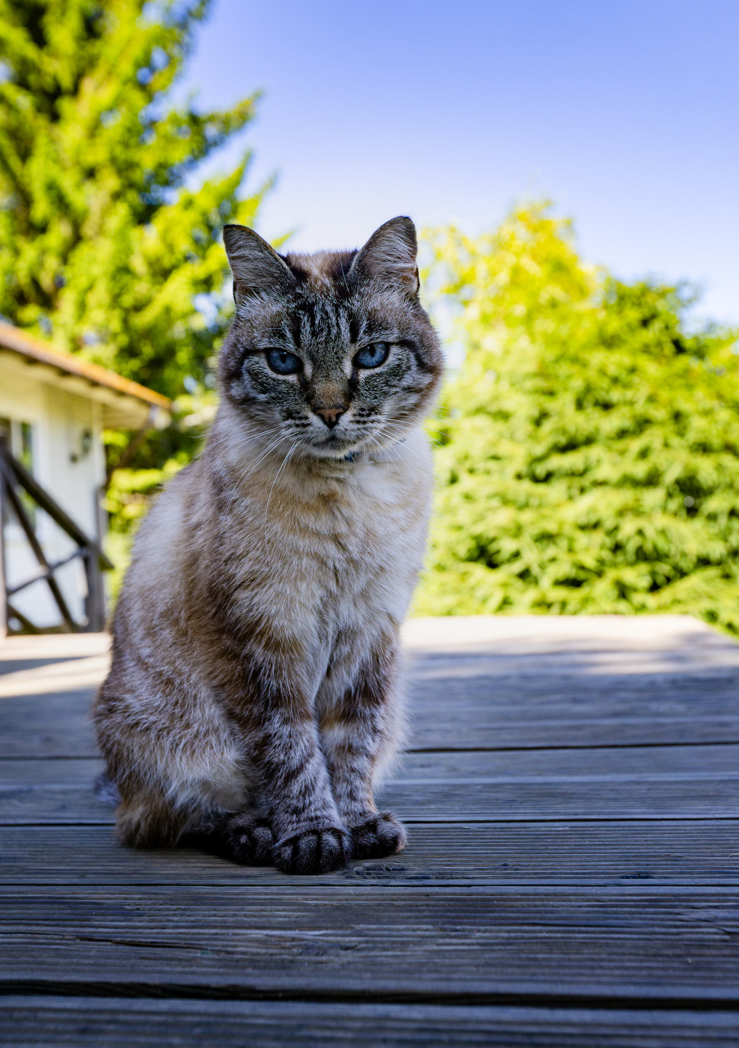 Гостевые дома «Уксунлахти» (деревня Ууксу). Аэросъемка. Фото и Видео в Карелии. Алексей Фрилунд