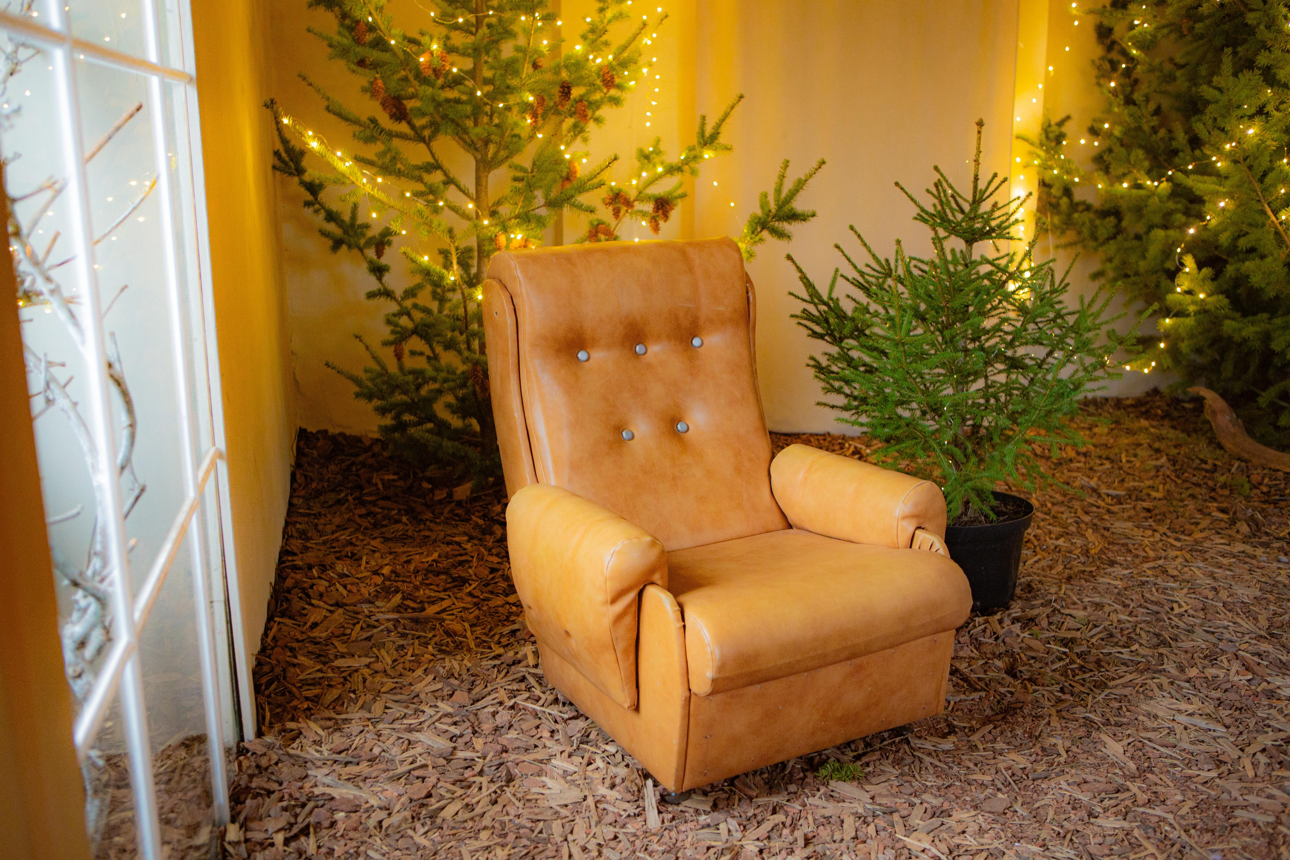 Зал ЭКО 30 м². ФОТОСТУДИЯ PODIUM ЙОШКАР-ОЛА