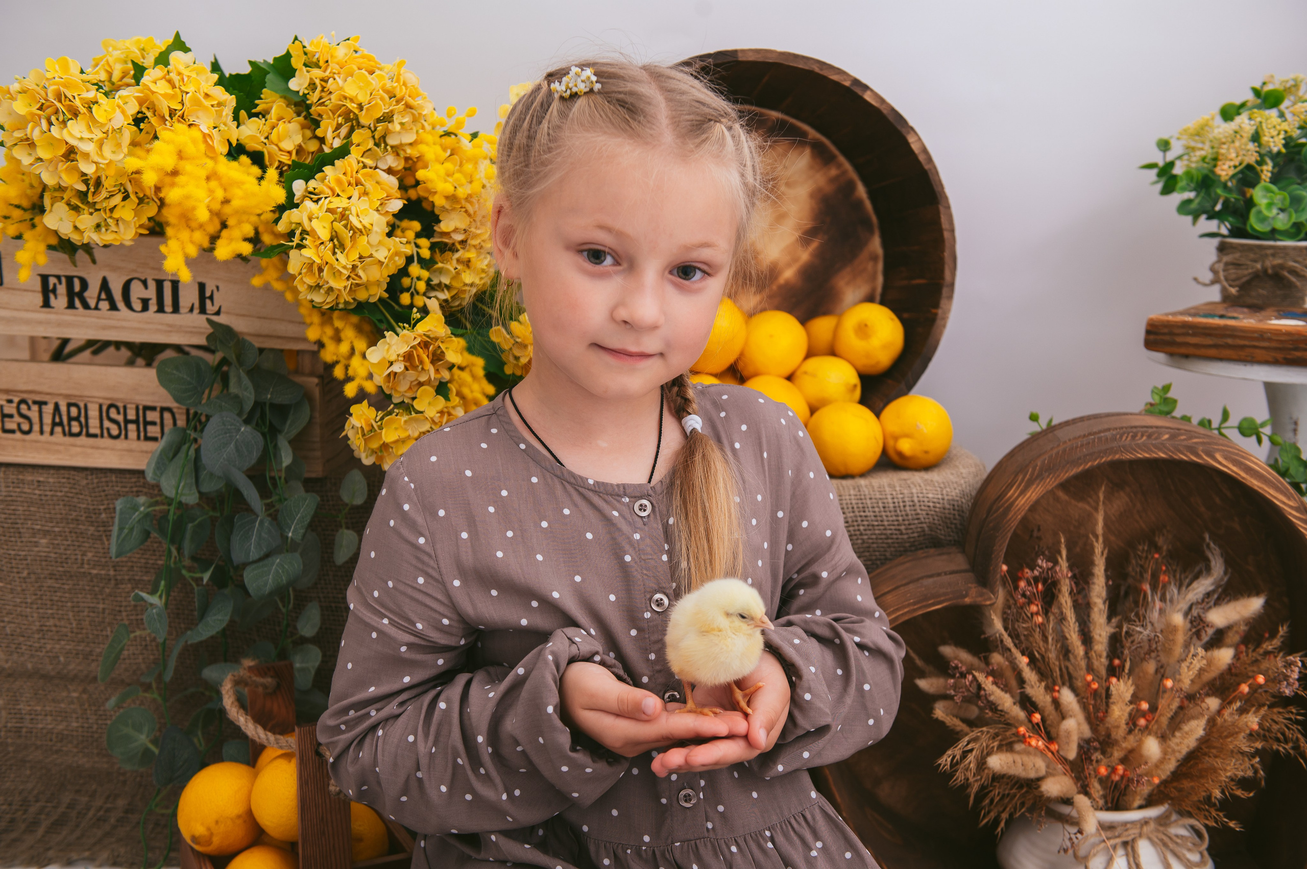 Цыплята. Детский фотограф Магадан