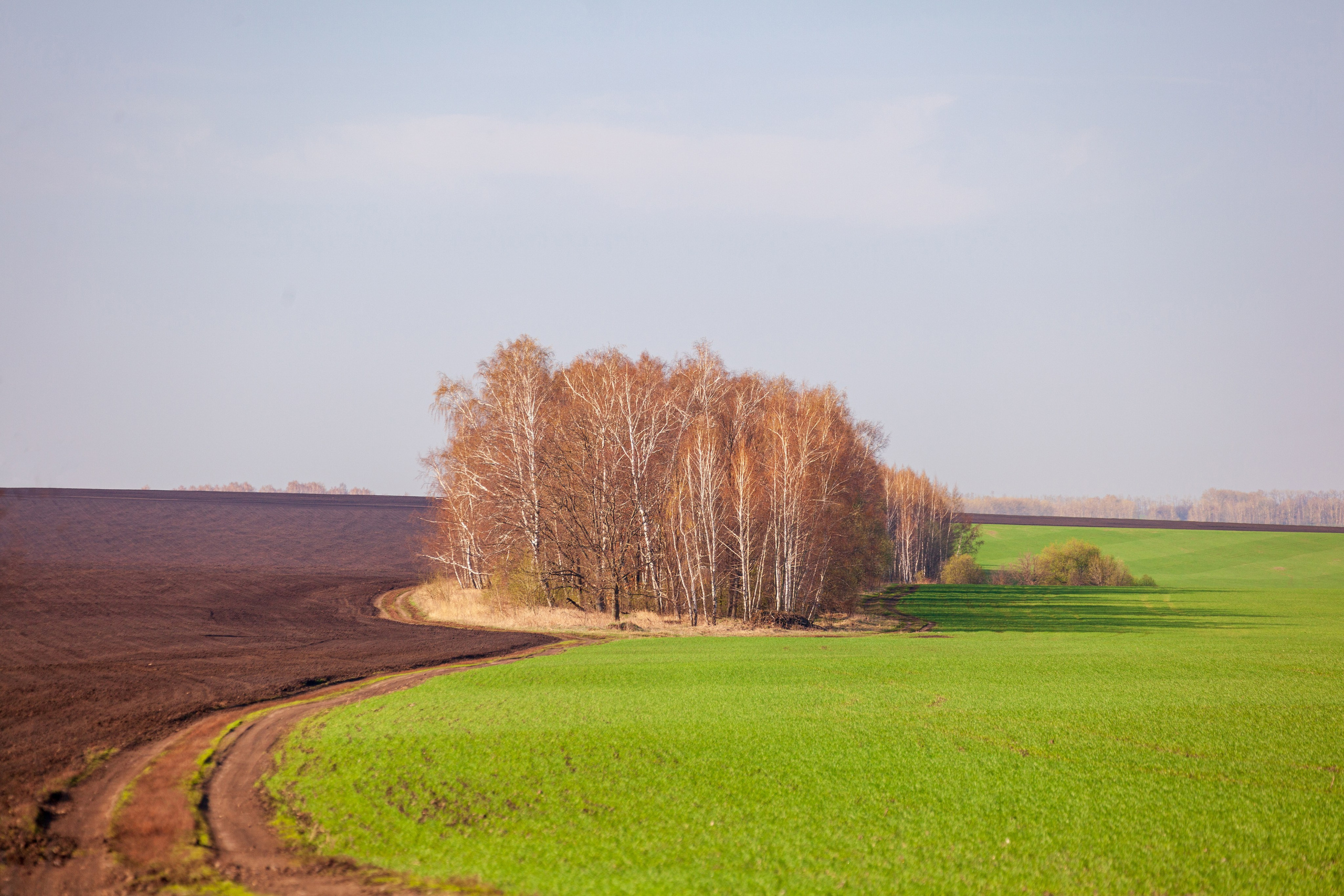 Весеннее настроение. Фотохудожник Артём Парамонов