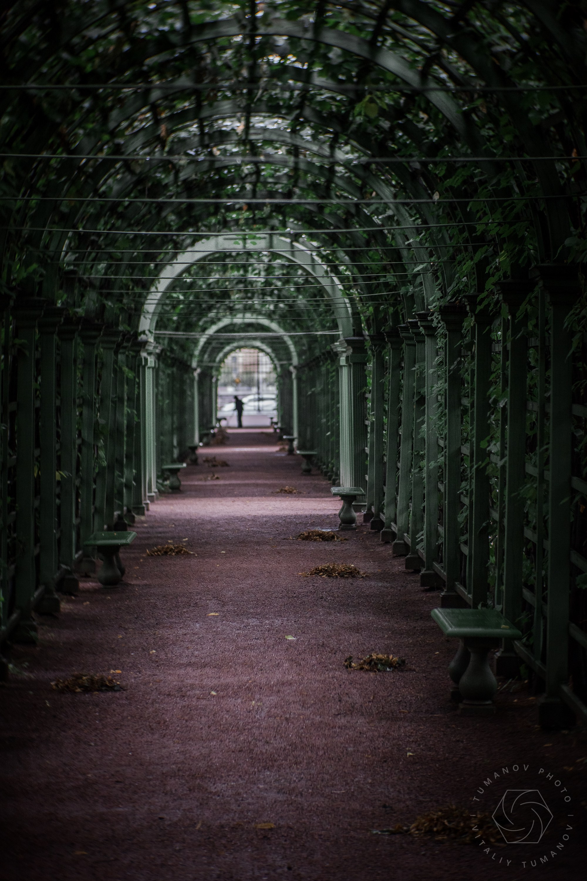 Ландшафтная фотография Летний сад Санкт-Питербург. Виталий Туманов — Ландшафтный фотограф